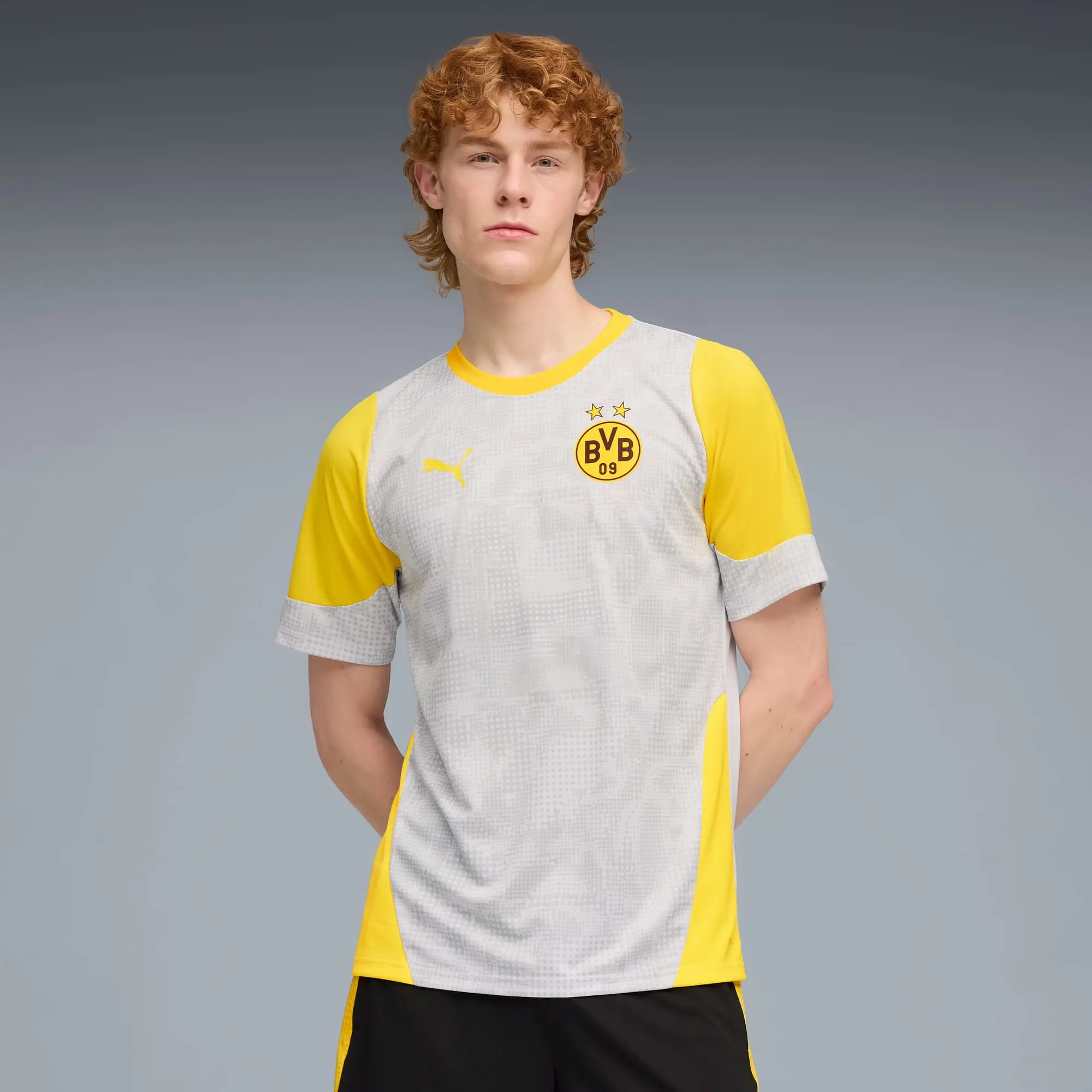 PUMA Borussia Dortmund Training Jersey Men, Silver Mist/Faster Yellow, size 3XL