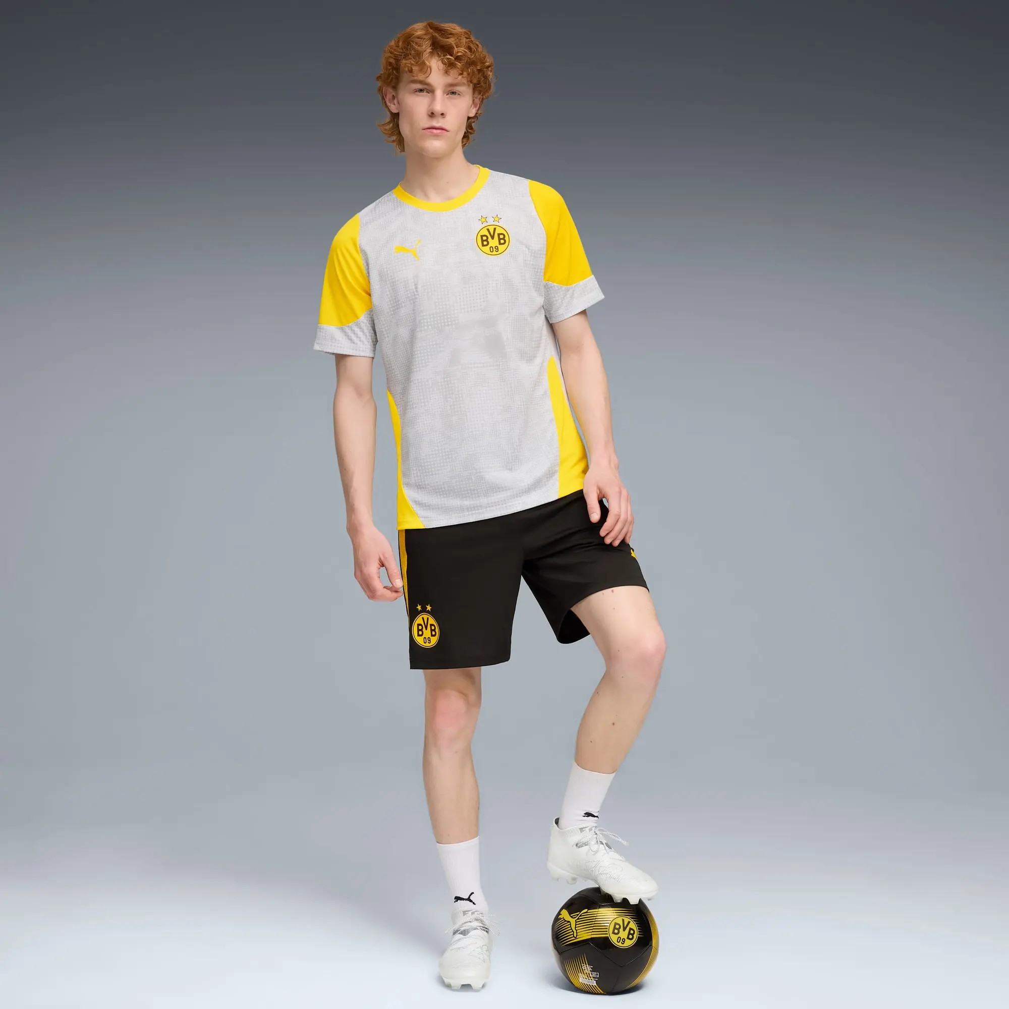 PUMA Borussia Dortmund Training Jersey Men, Silver Mist/Faster Yellow, size 3XL