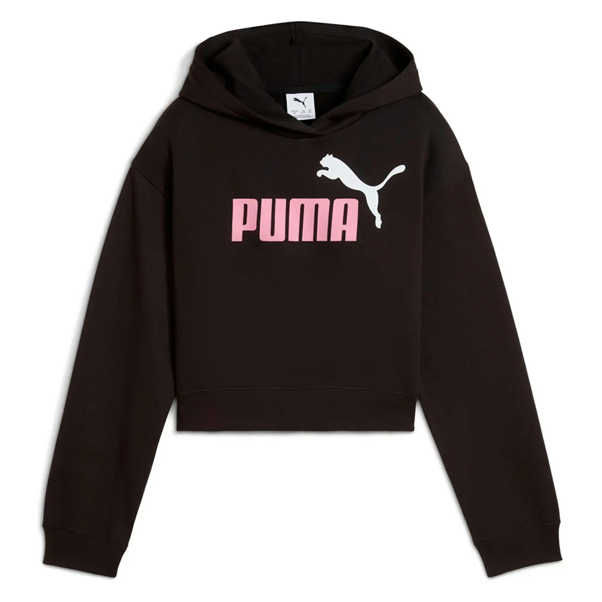 Puma Ess 2 Color Nº 1 Logo​ Fl Hoodie
