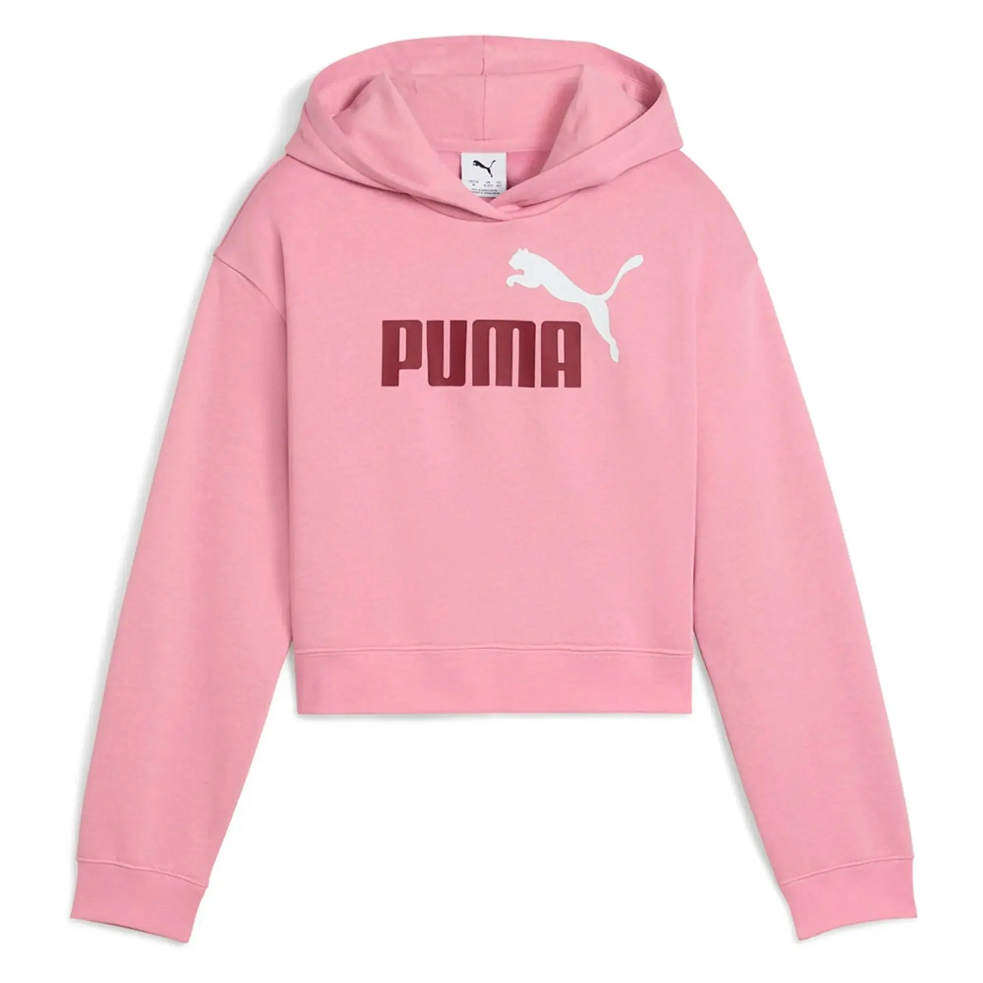 Puma Ess 2 Color Nº 1 Logo​ Fl Hoodie
