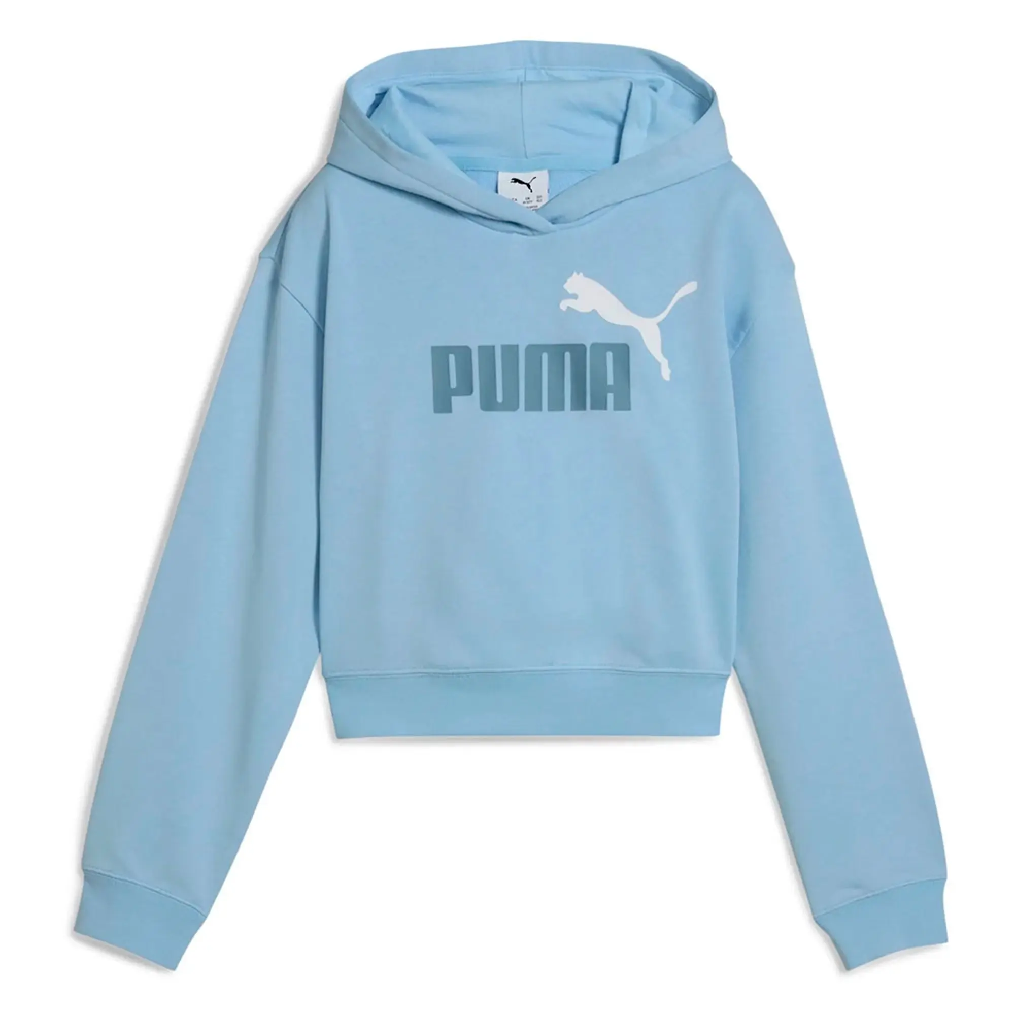 Puma Ess 2 Color Nº 1 Logo​ Hoodie