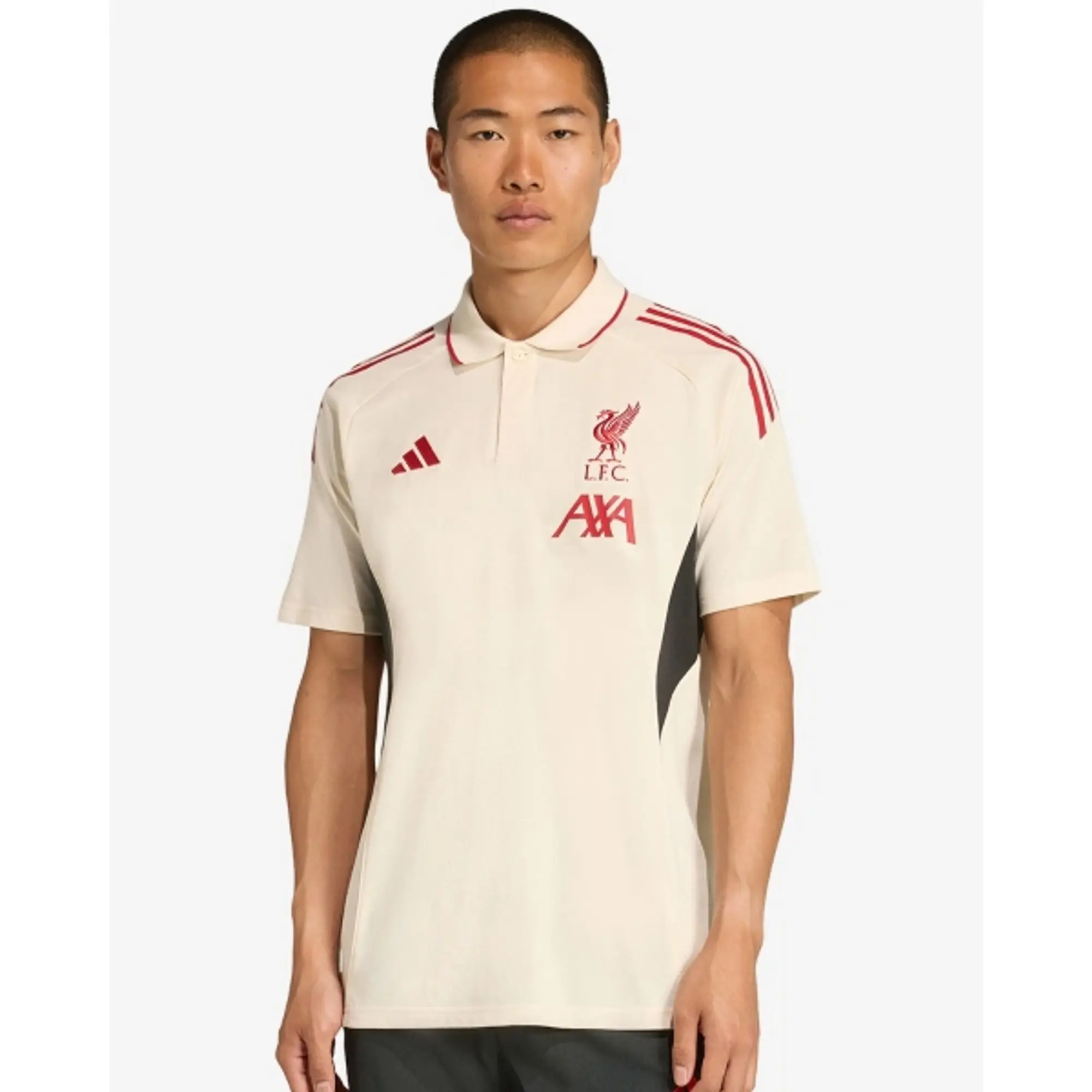LFC adidas Mens 25/26 Domestic Training Polo White