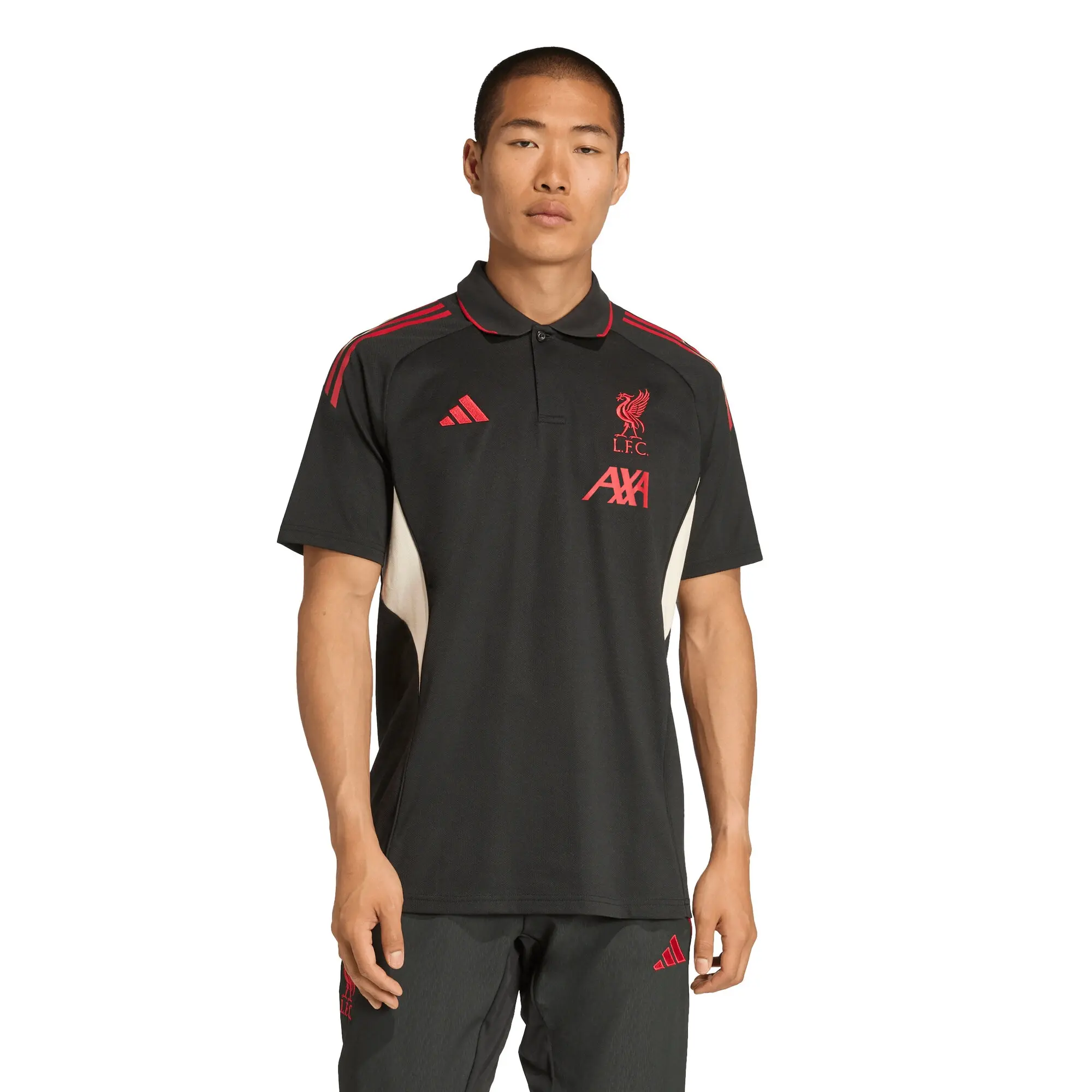 LFC adidas Mens 25/26 Domestic Training Polo Black