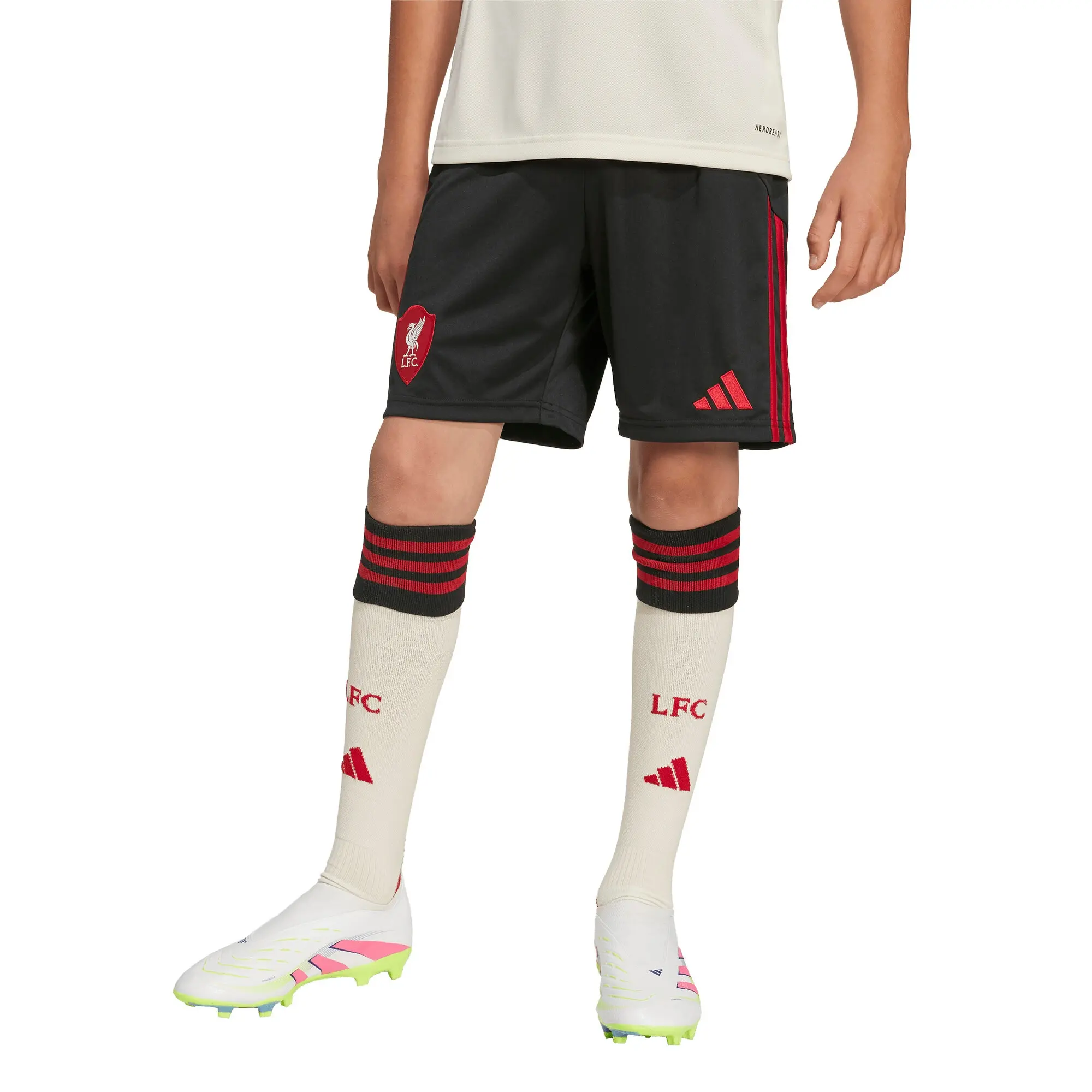LFC adidas Youth 25/26 Away Shorts