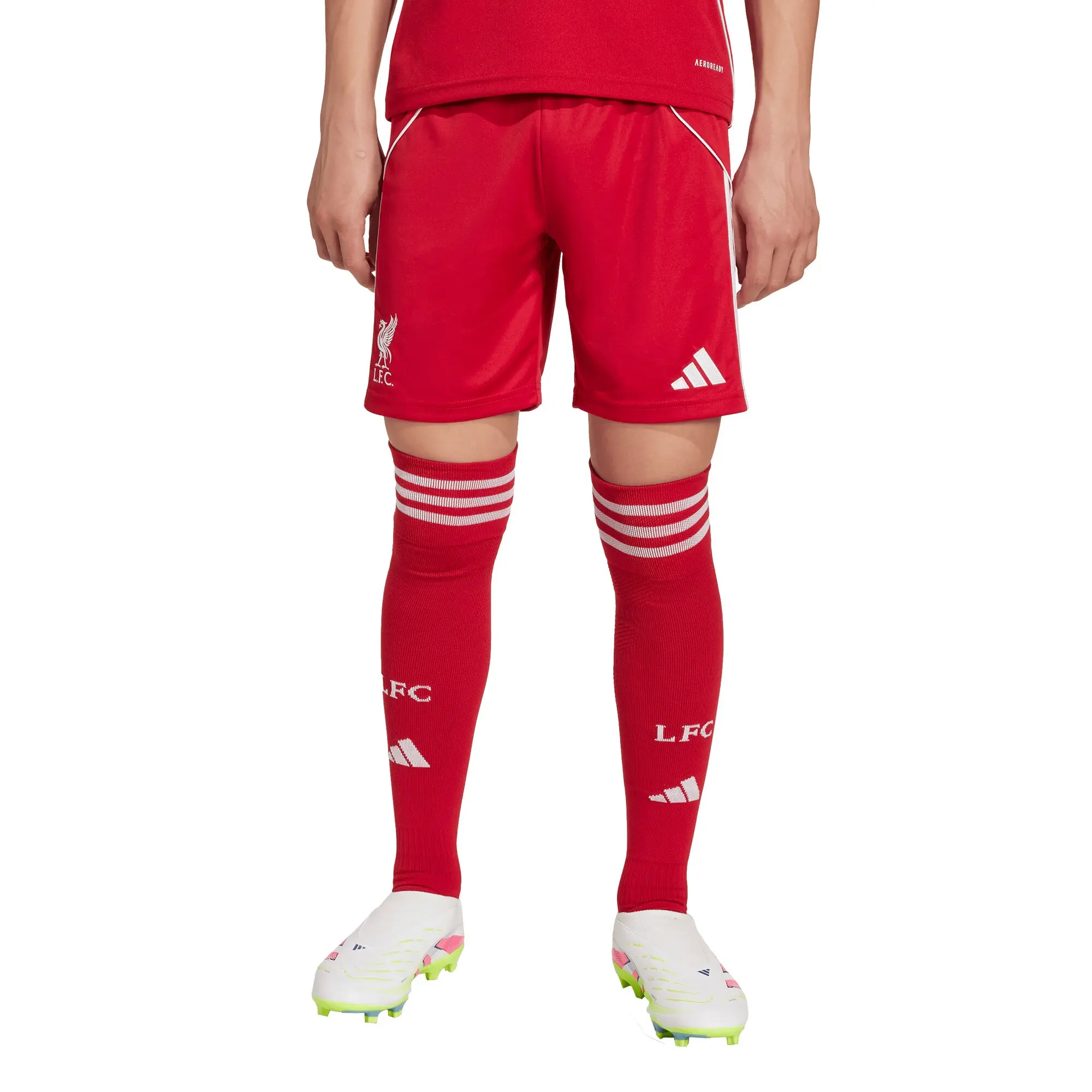 LFC adidas Youth 25/26 Home Shorts