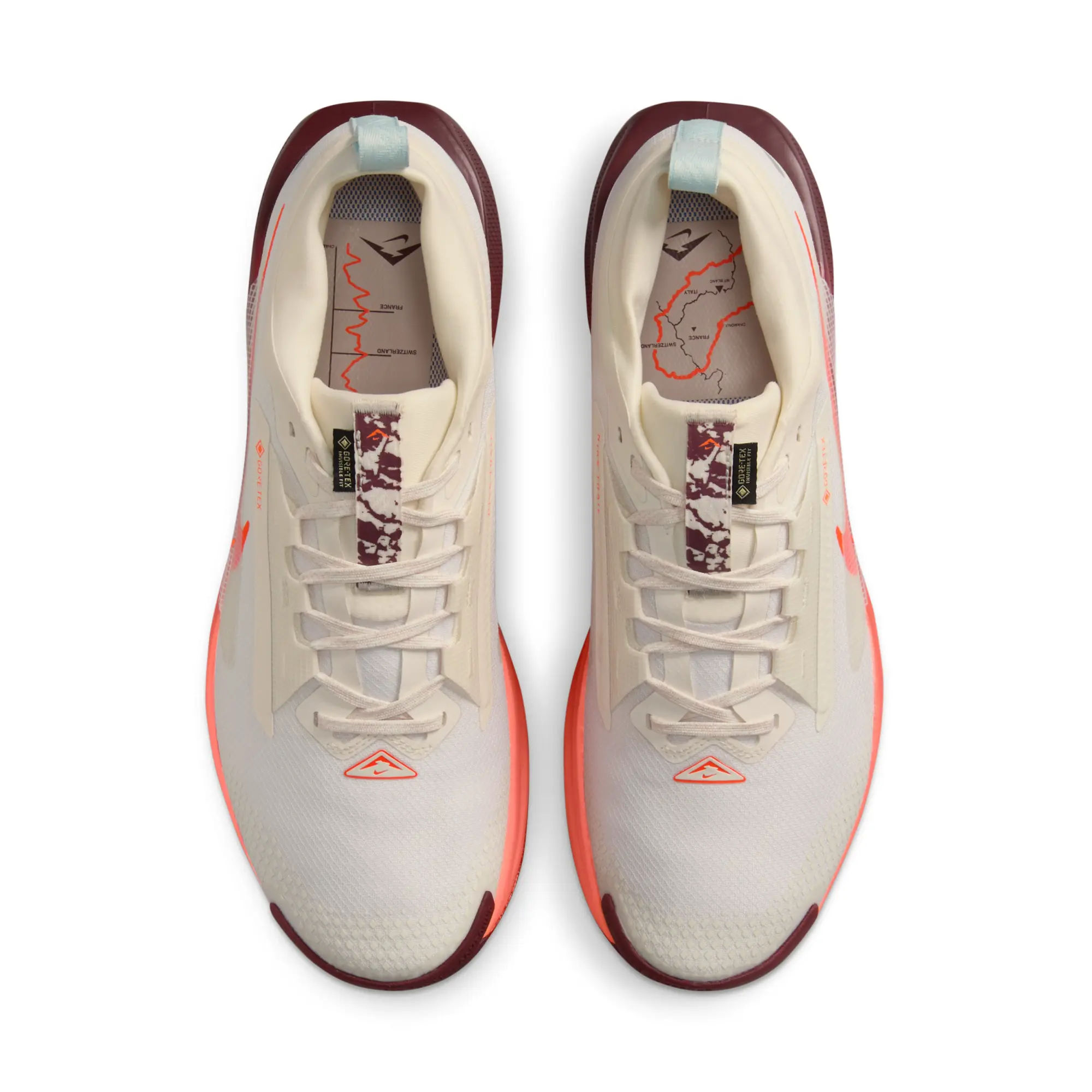 Nike Pegasus Trail 5 GORE-TEX Men's Waterproof Trail-Running Shoes - White