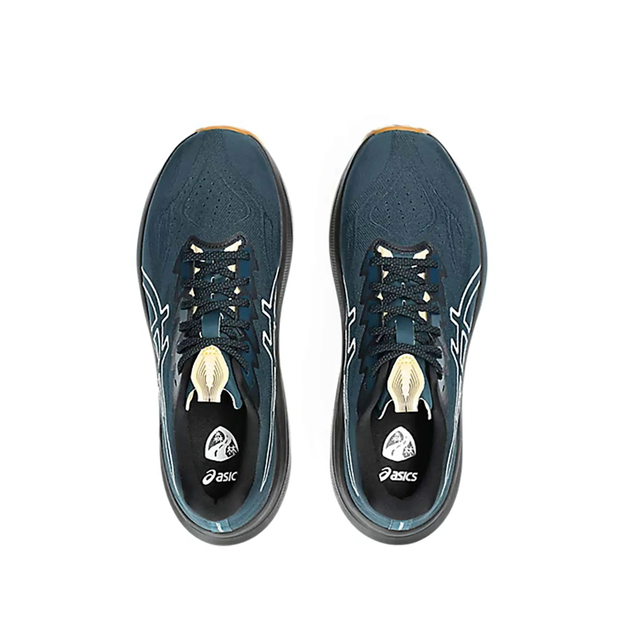 Asics Gt-2000 14 Tr Running Shoes