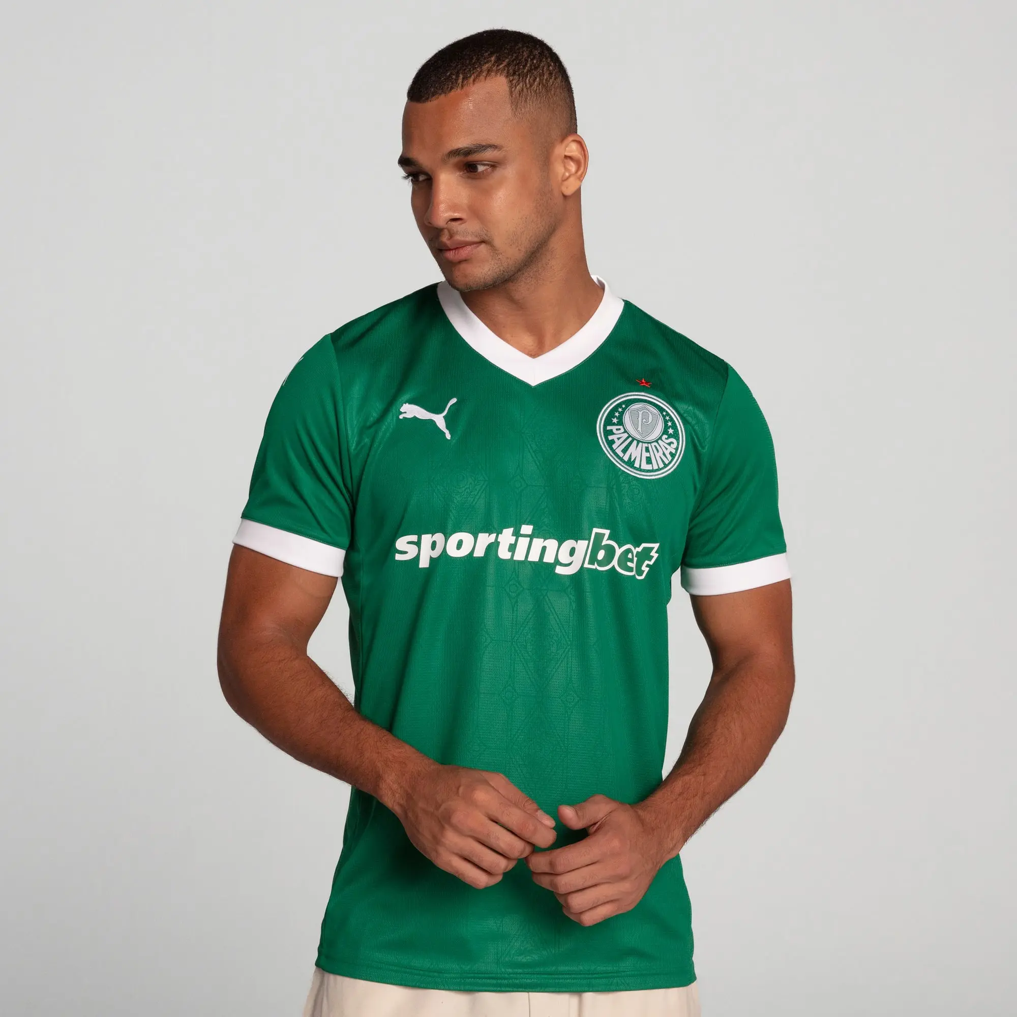 PUMA Se Palmeiras Torcedor 25/26 Home Jersey Men, Power Green, size 3XL
