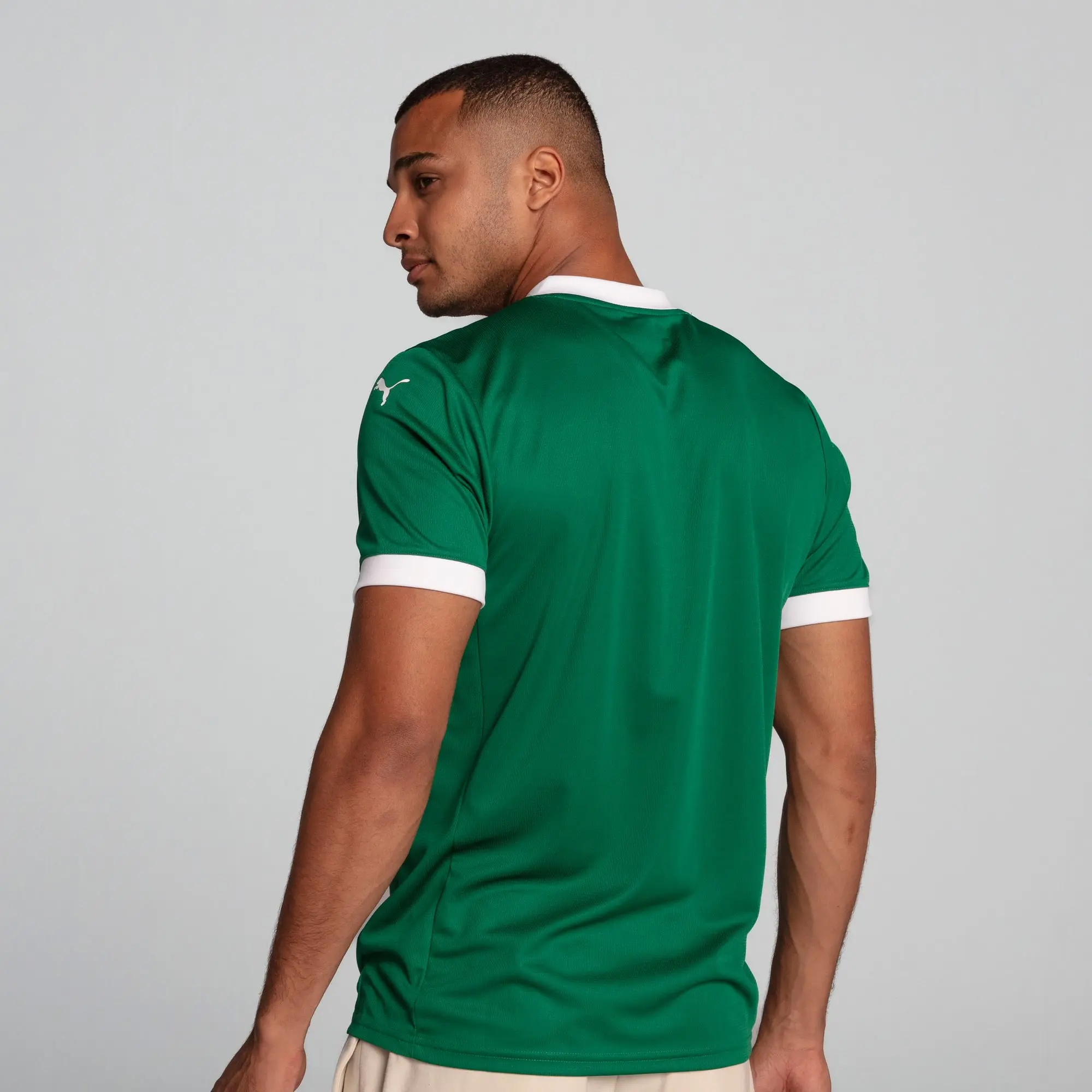 PUMA Se Palmeiras Torcedor 25/26 Home Jersey Men, Power Green, size 3XL