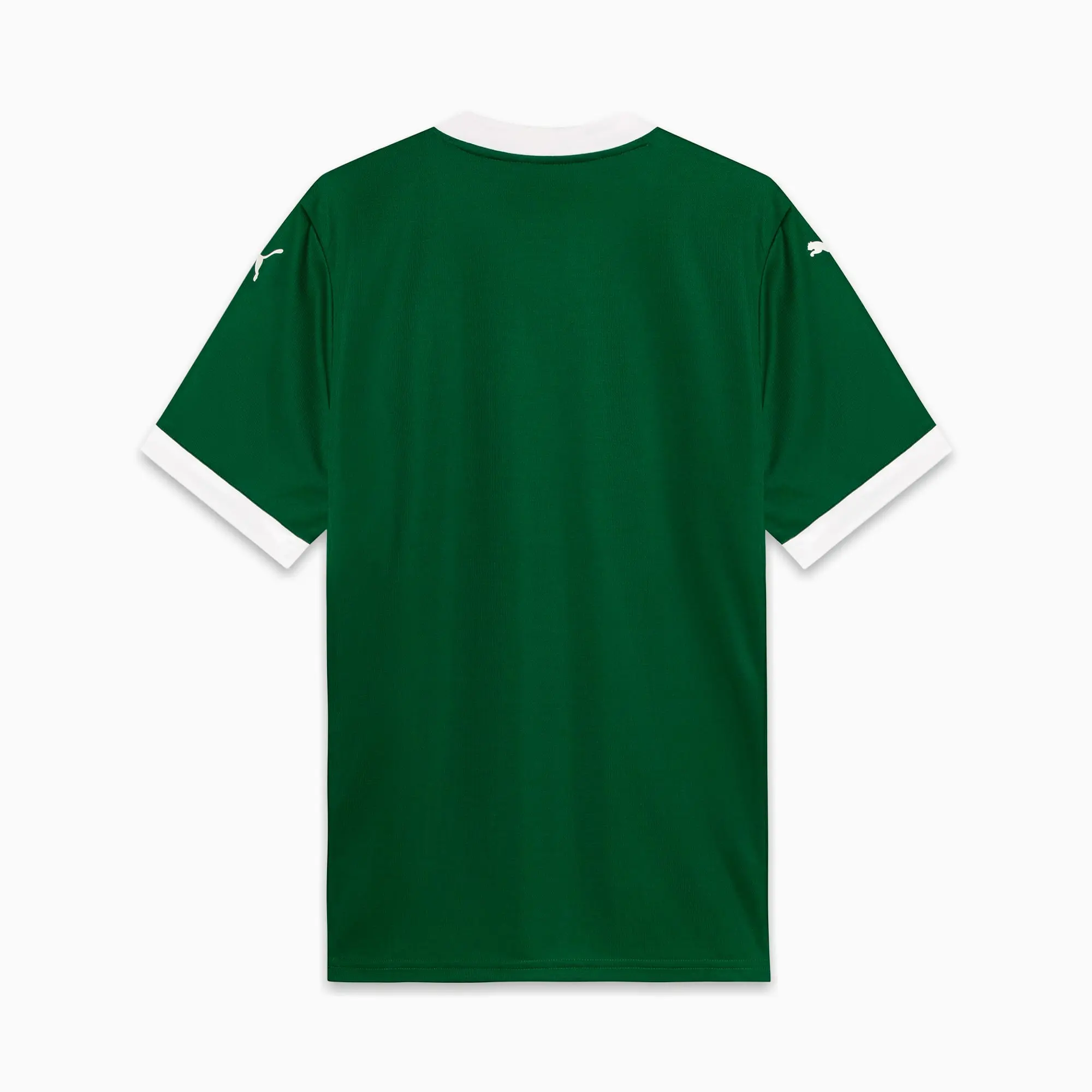 PUMA Se Palmeiras Torcedor 25/26 Home Jersey Men, Power Green, size 3XL