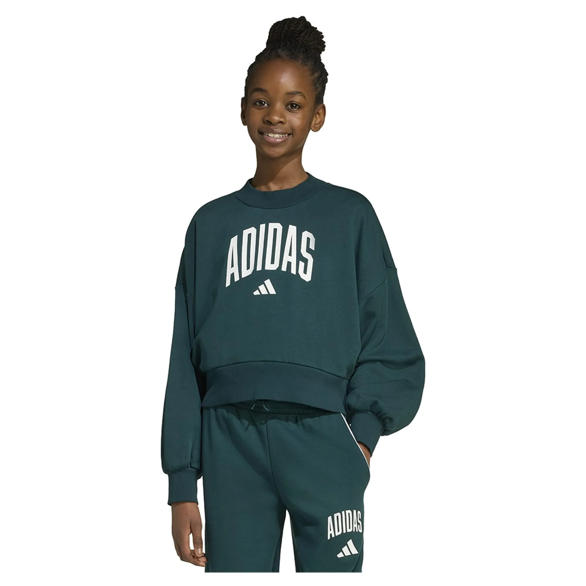 Adidas Seasonals Essentials Collegiate Typography Crewneck Sweatshirt