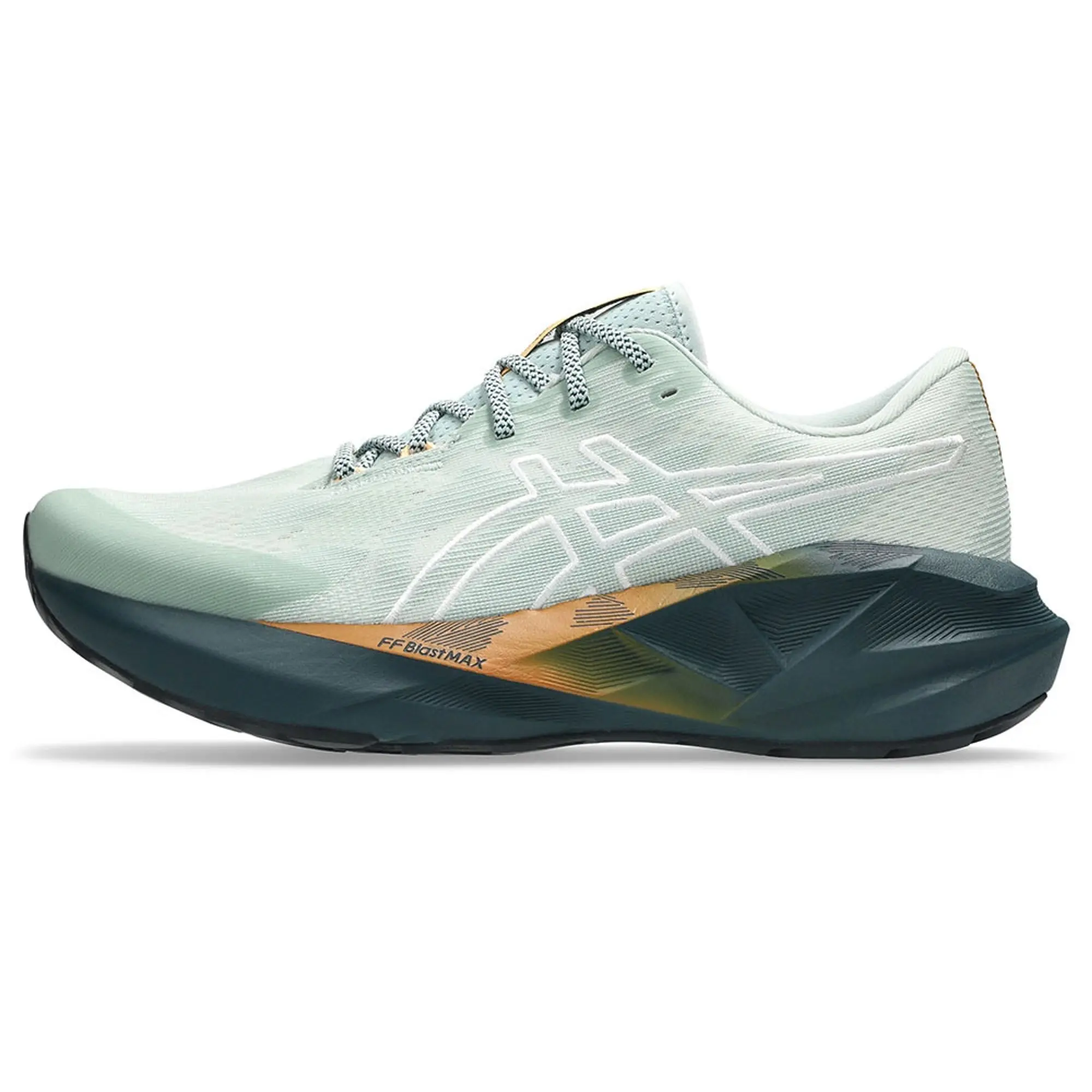 Asics Novablast 5 Tr Running Shoes