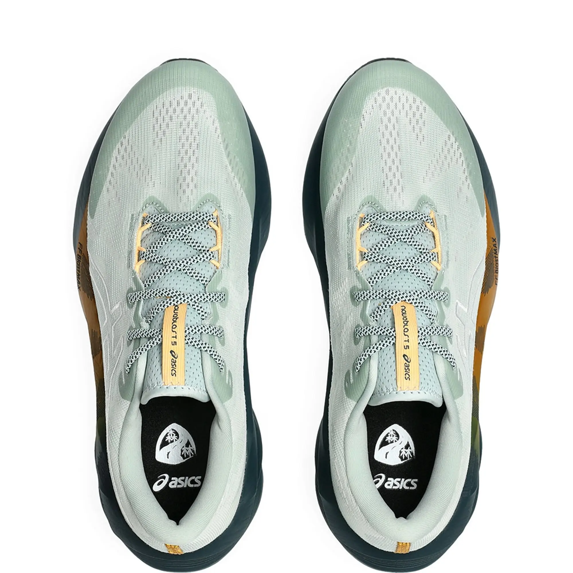 Asics Novablast 5 Tr Running Shoes