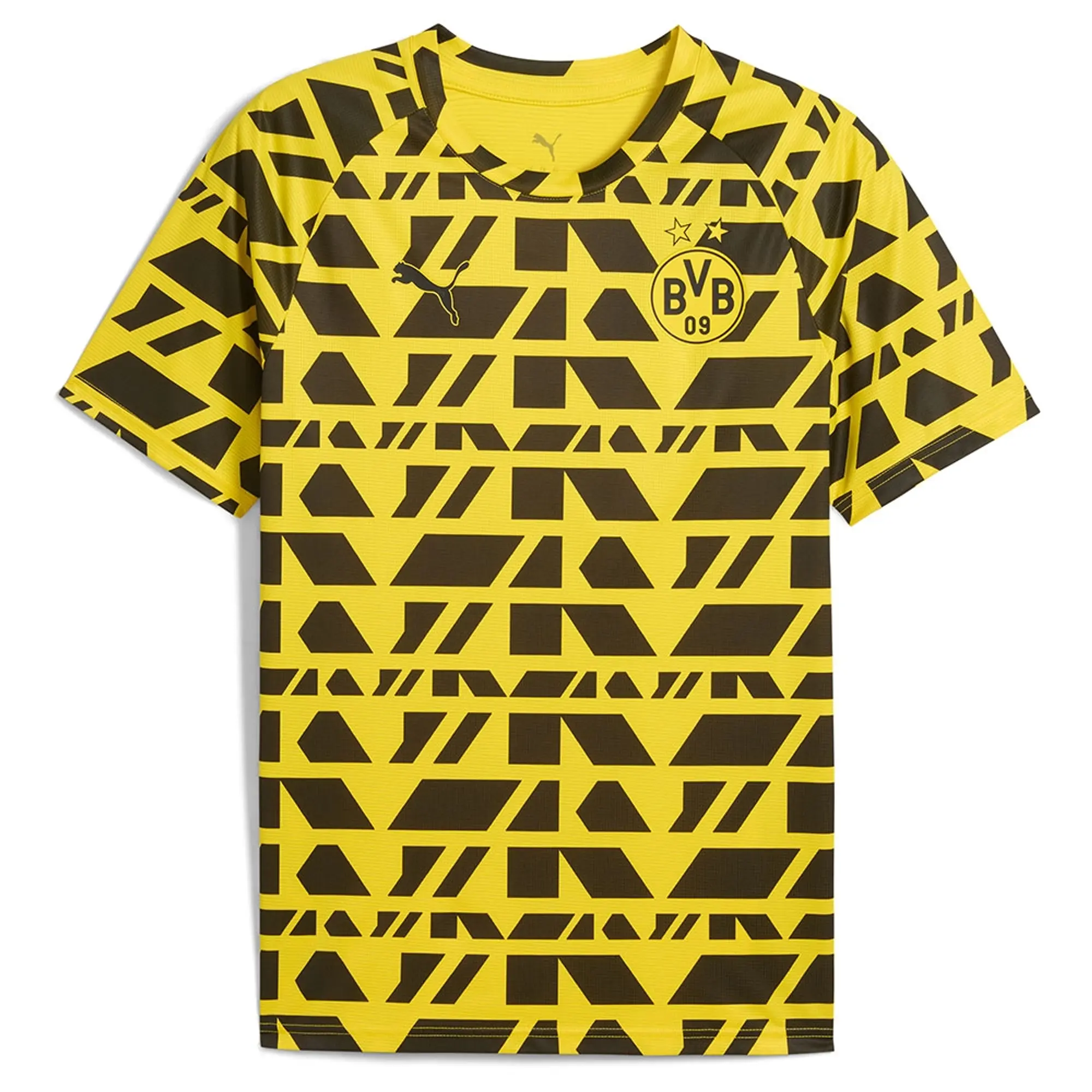 Puma Bvb Borussia Dortmund 25/26 Pre Match Short Sleeve T-shirt