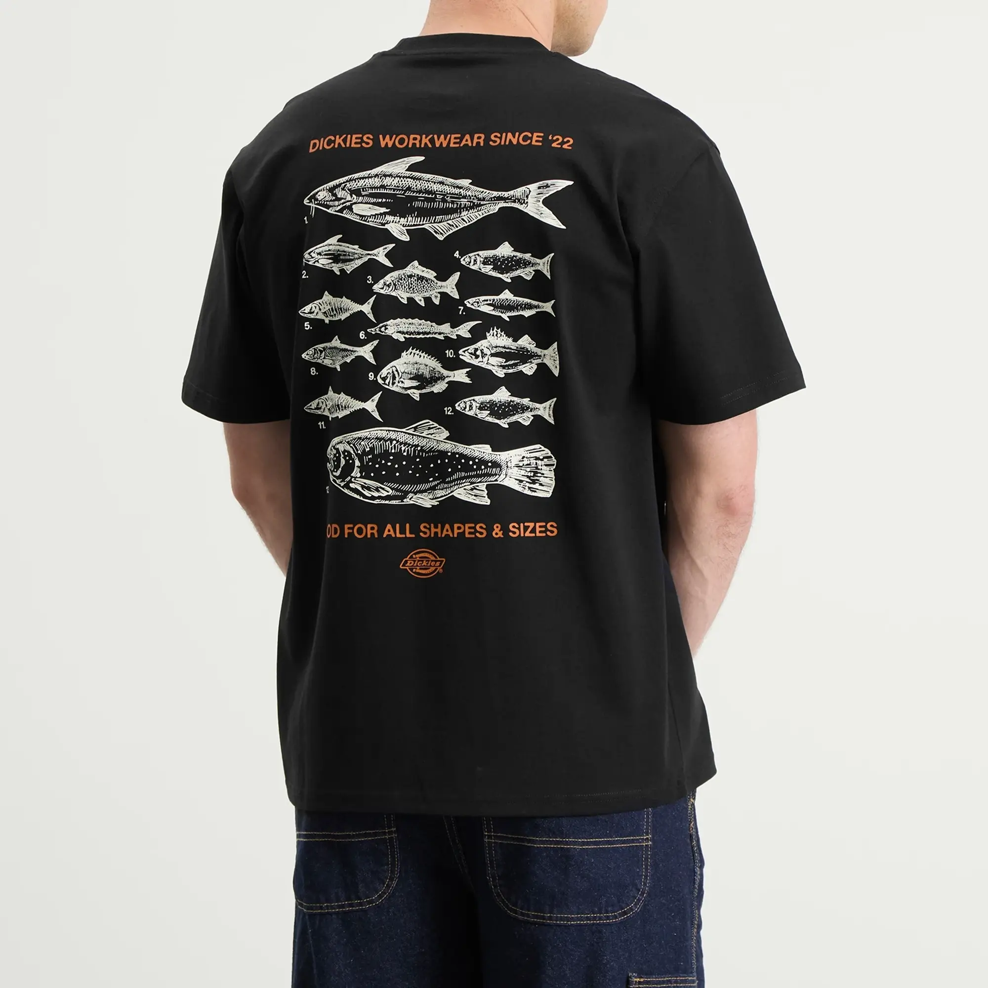 Dickies Men's Laryville T-Shirt Black