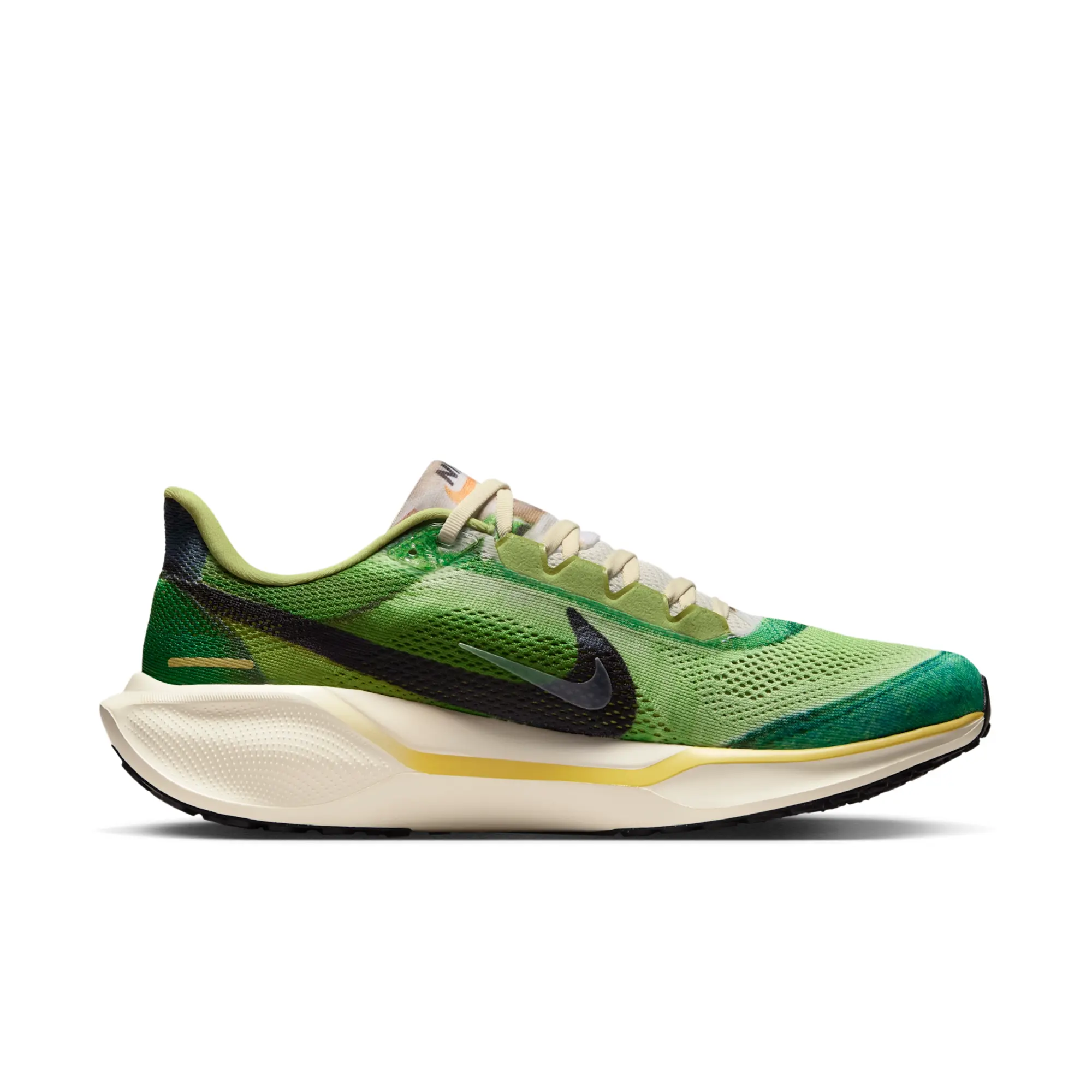 Nike Pegasus 41 SE Men's Road Running Shoes - Multi-Colour