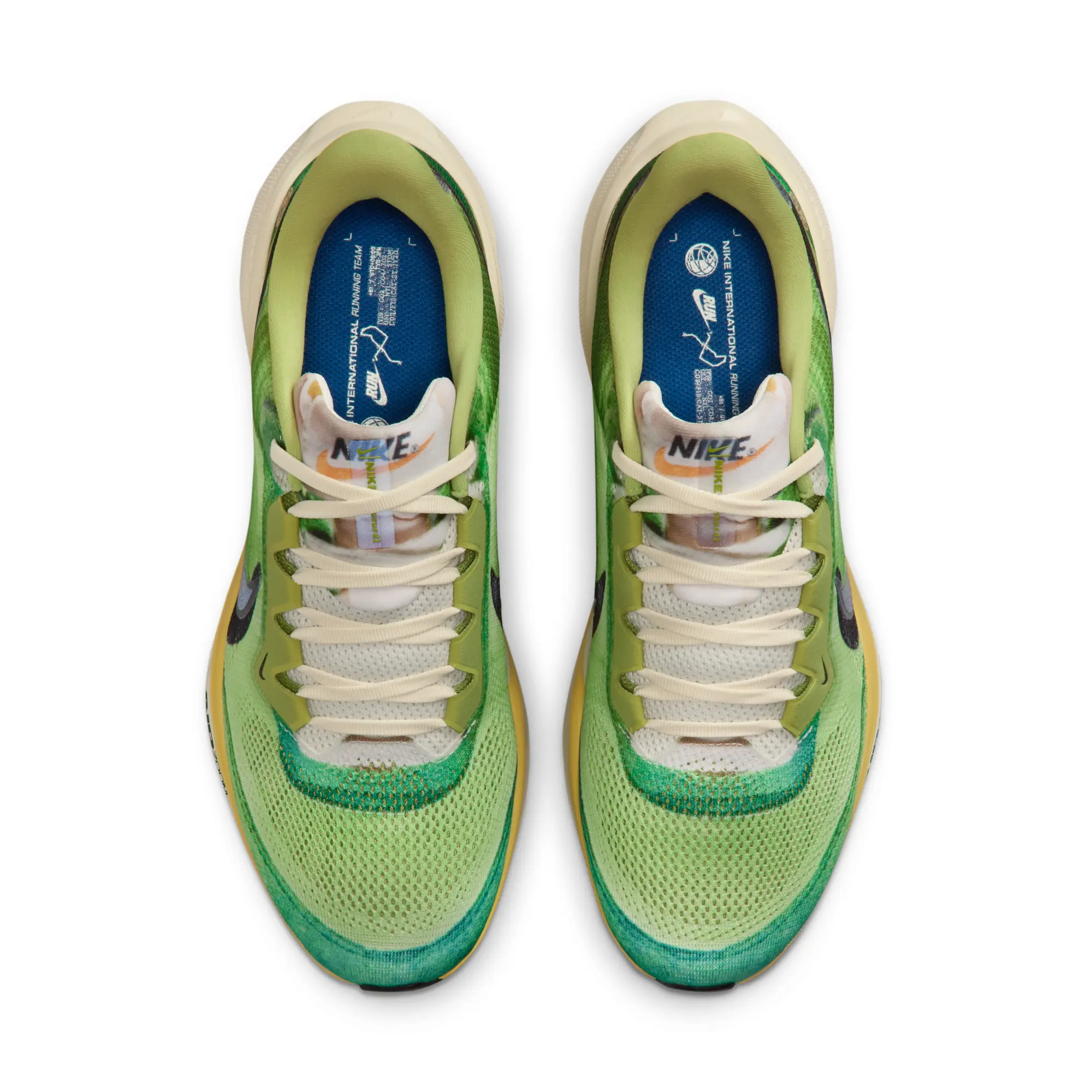 Nike Pegasus 41 SE Men's Road Running Shoes - Multi-Colour