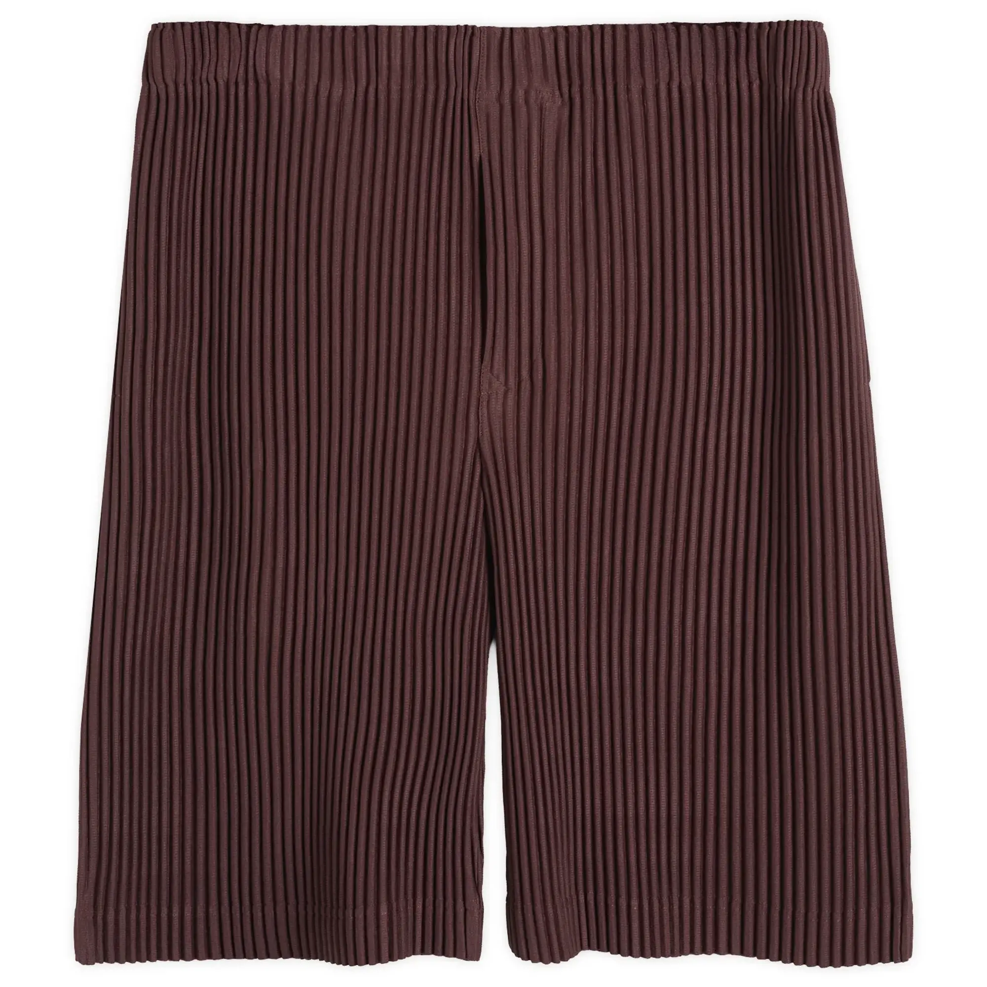 Homme Plissé Issey Miyake Men's Shorts Brown