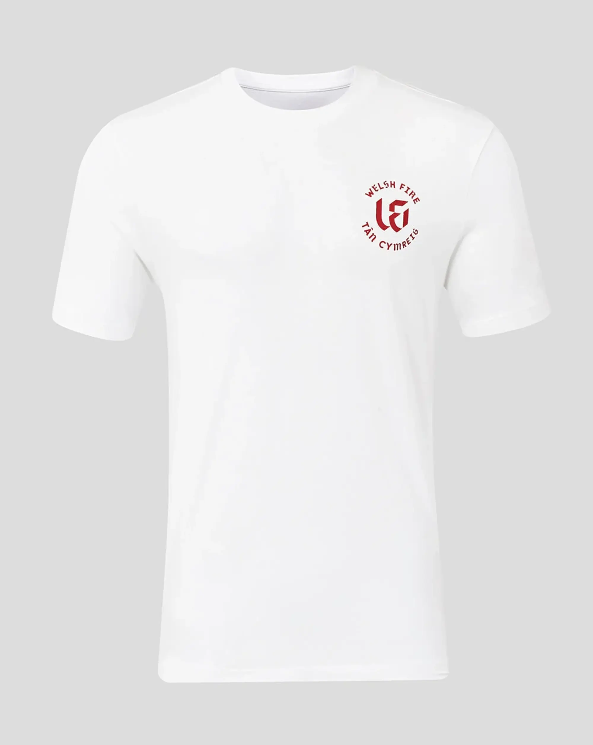 Castore The Hundred Welsh Fire Adult T-shirt