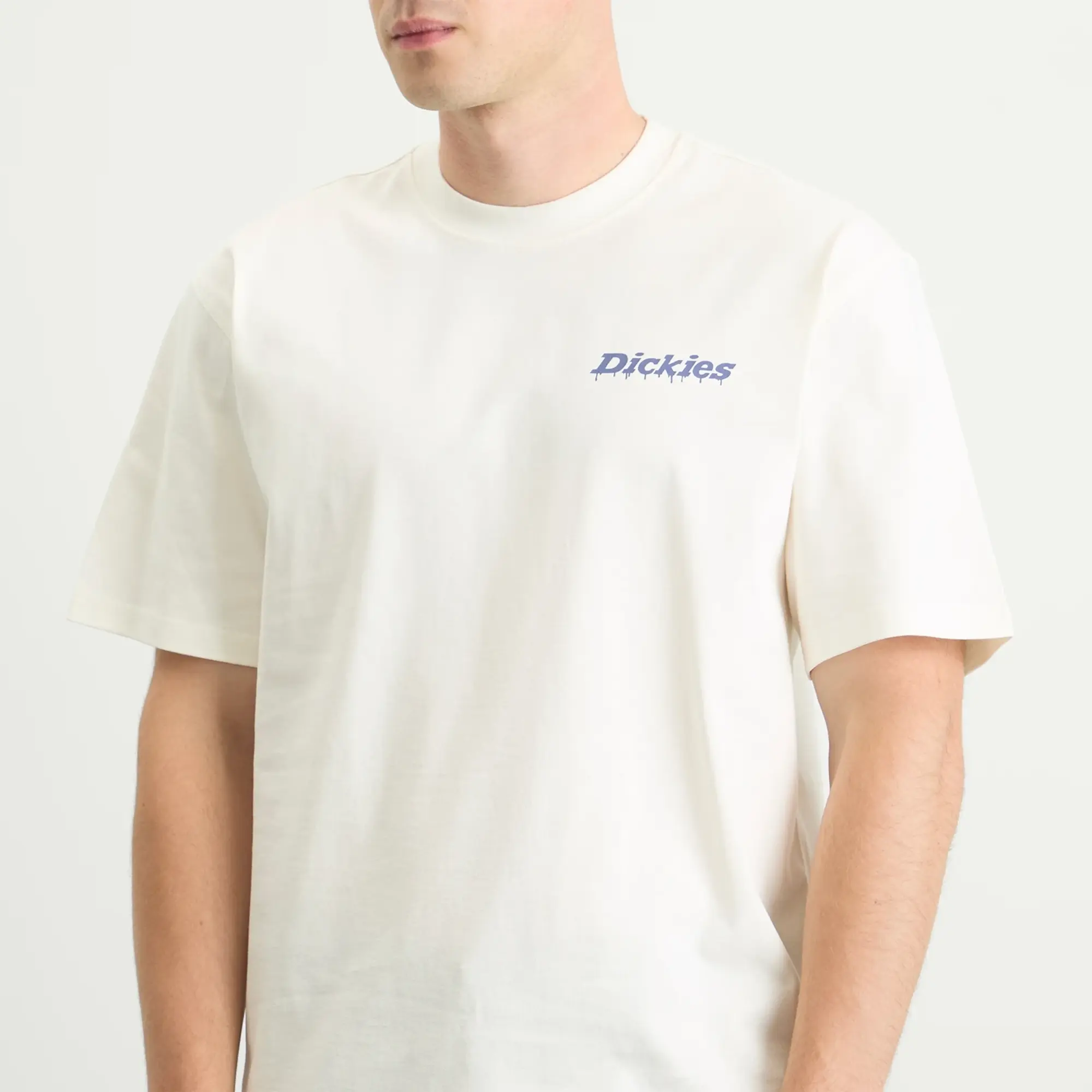 Dickies Men's Statesville T-Shirt Egret