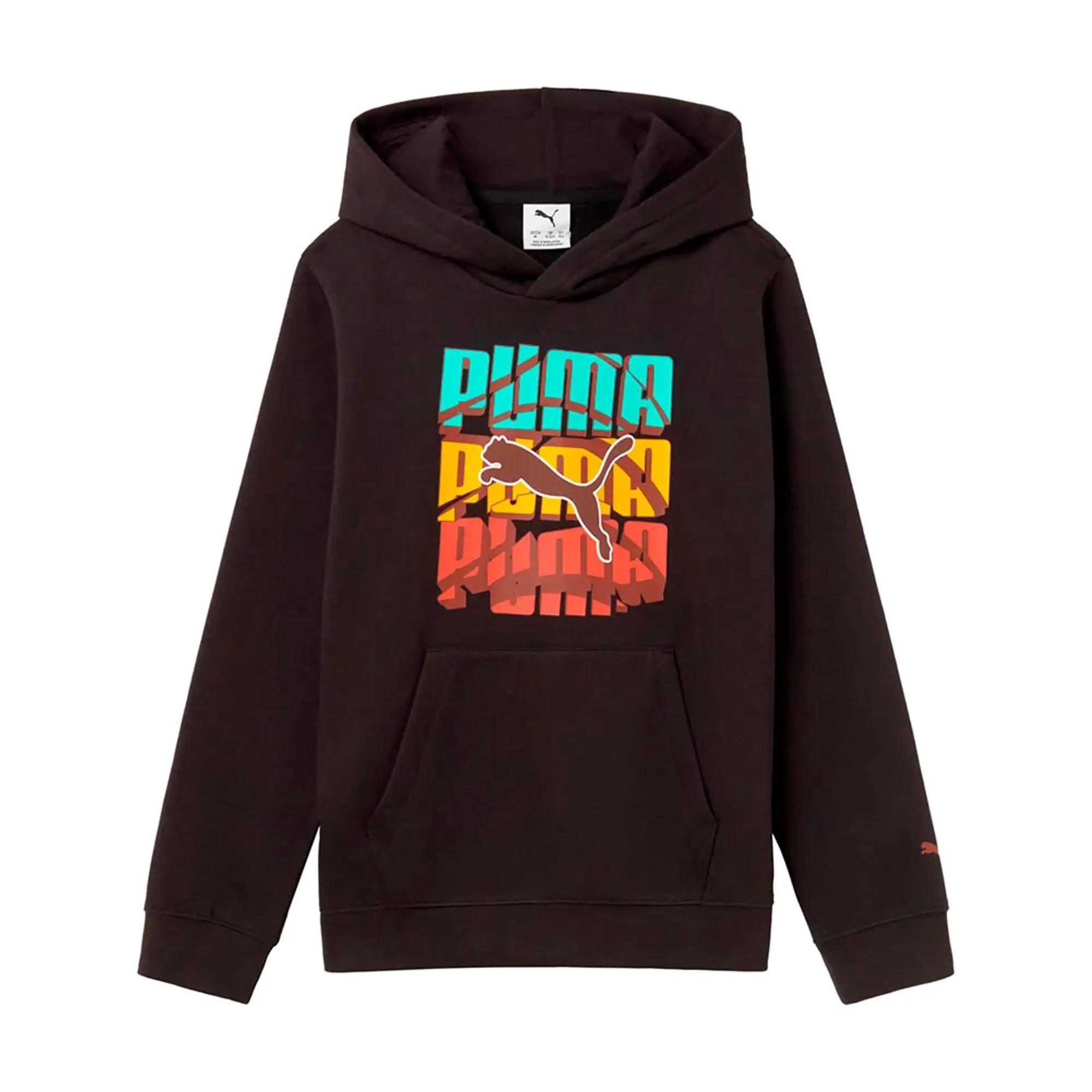 Puma Graphic Logo Colour Hoodie