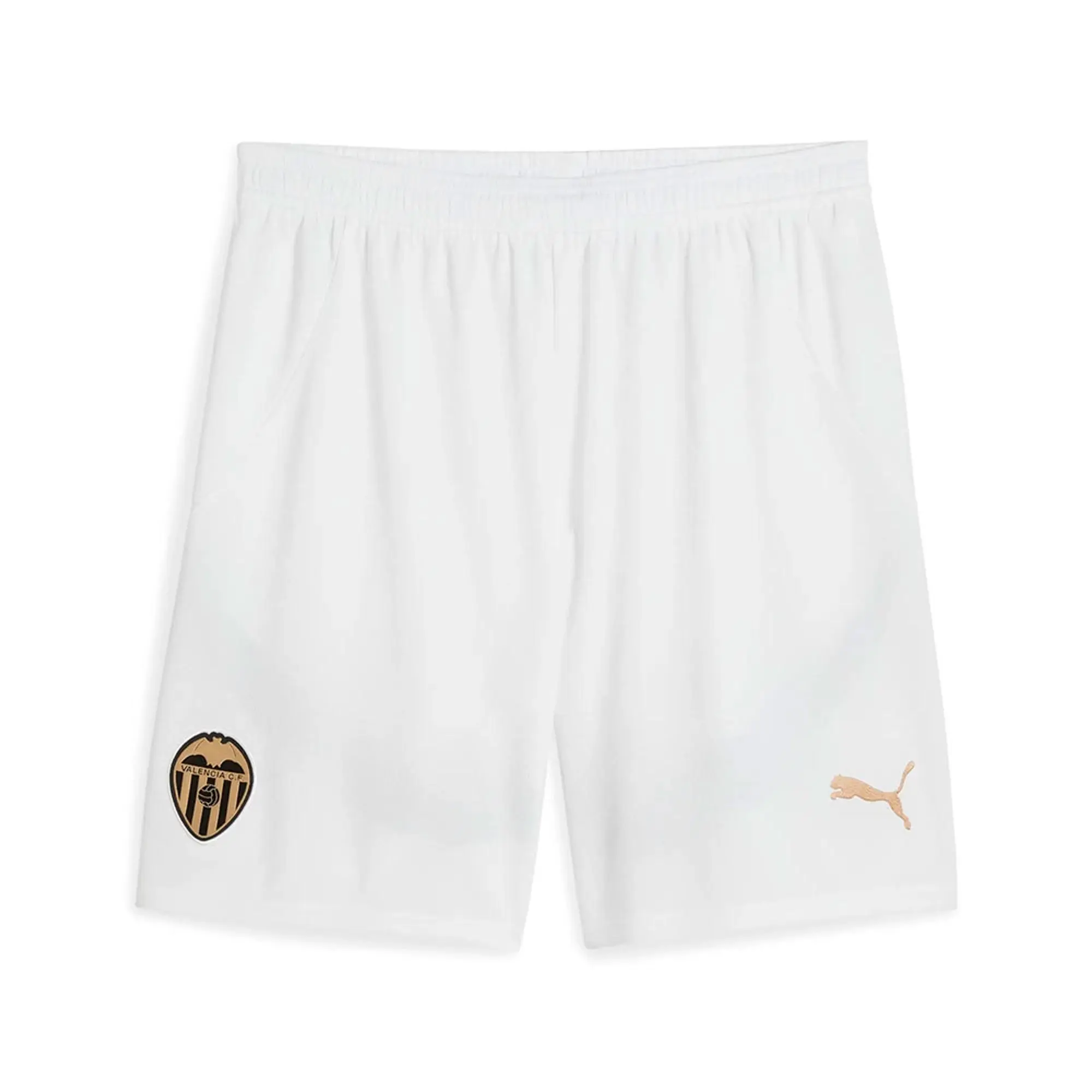 Puma Valencia Cf 23/24 Shorts