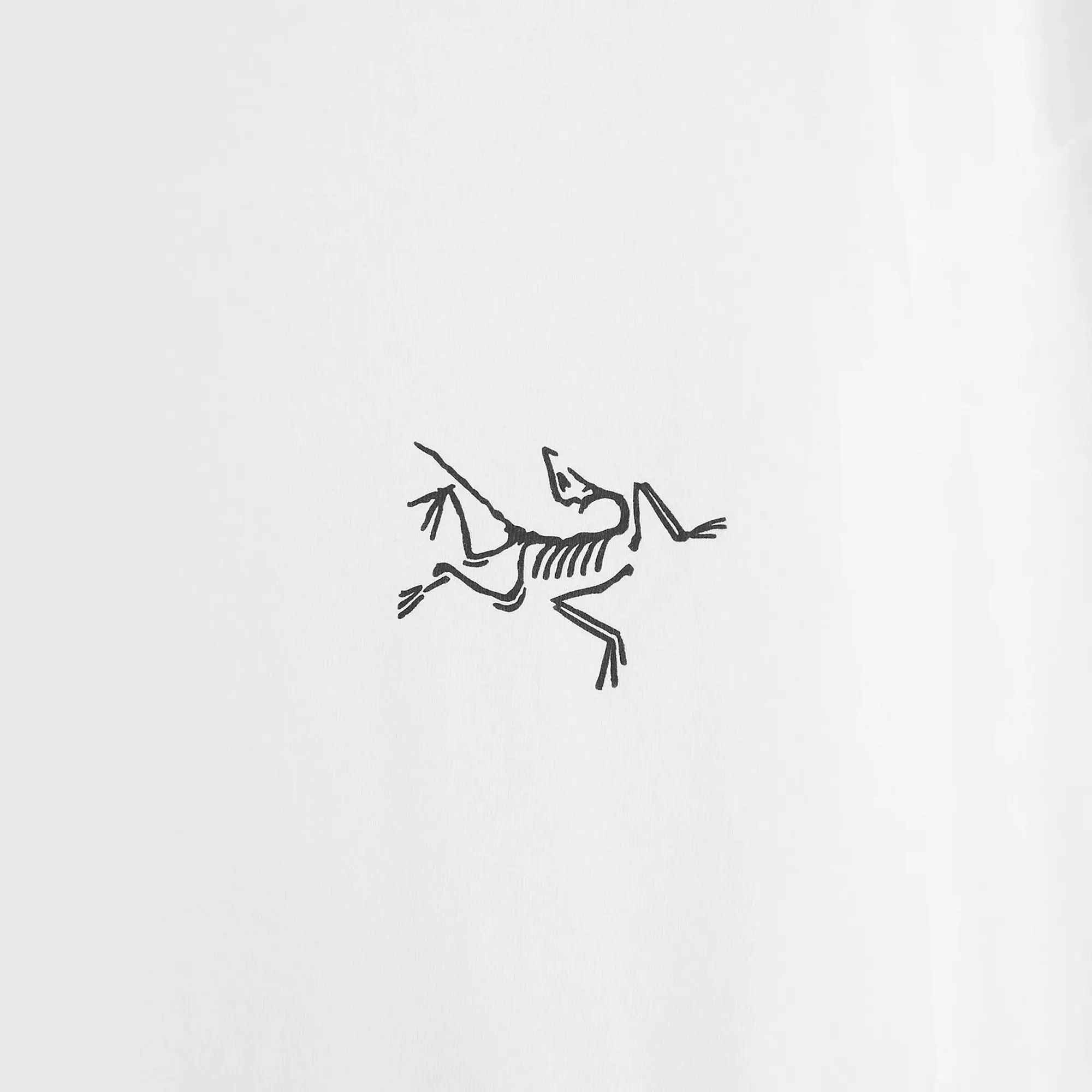 Arc'teryx Men's Kragg Cotton Long Sleeve T-shirt White Light/Black