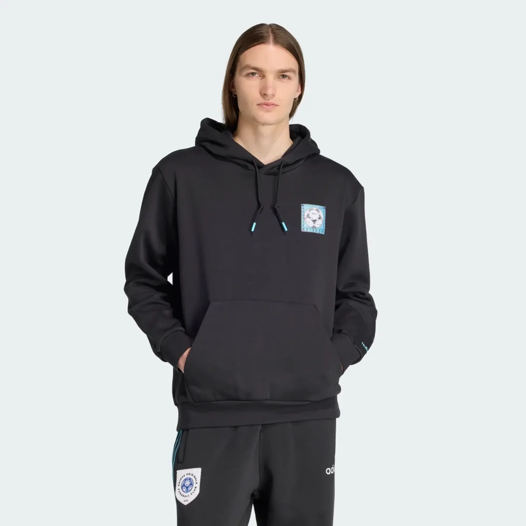 adidas Graphic Hoodie