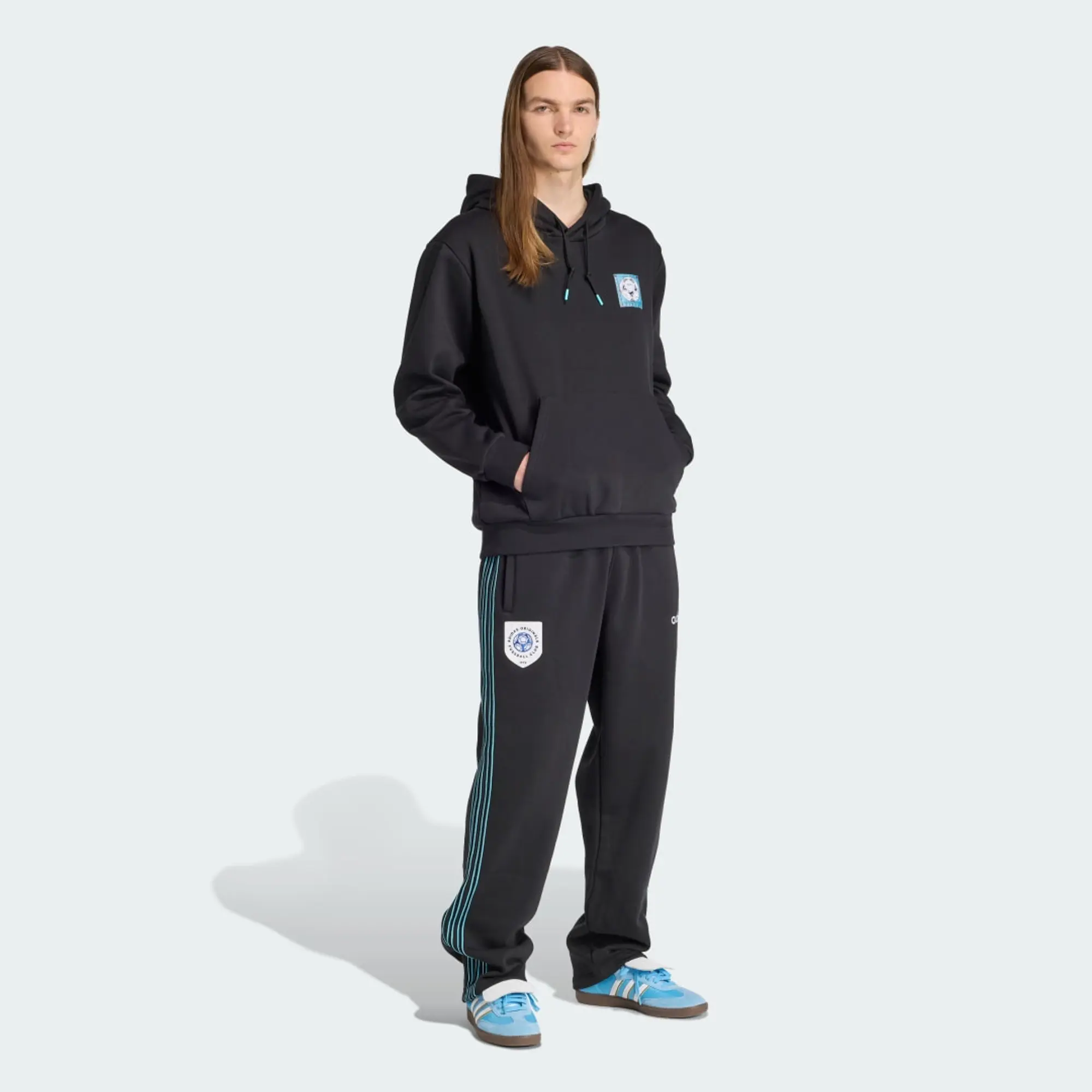 adidas Graphic Hoodie