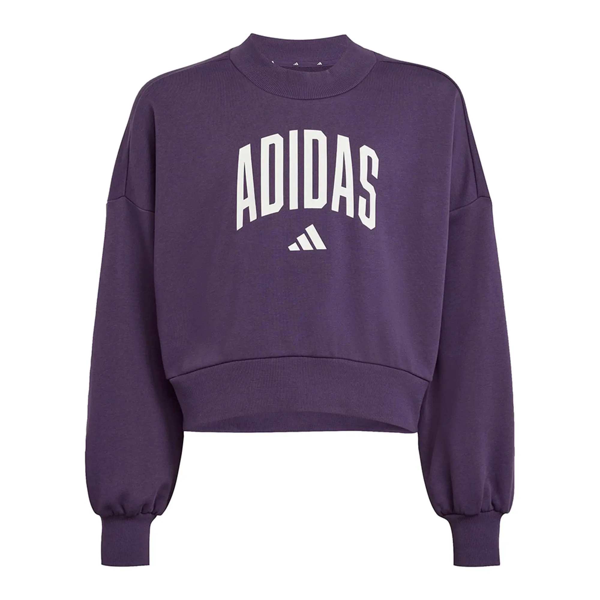 Adidas Seasonals Essentials Collegiate Typography Crewneck Sweatshirt