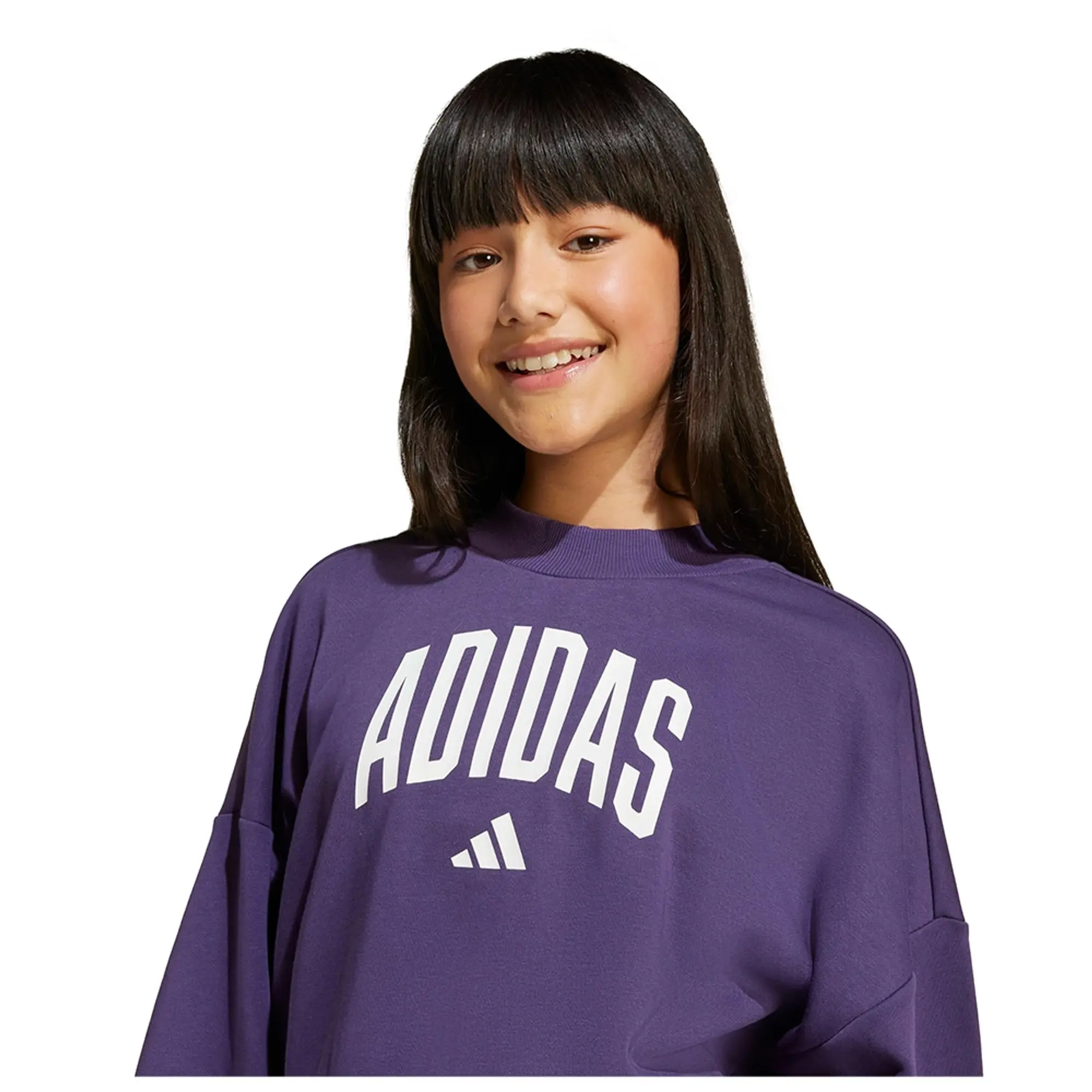 Adidas Seasonals Essentials Collegiate Typography Crewneck Sweatshirt