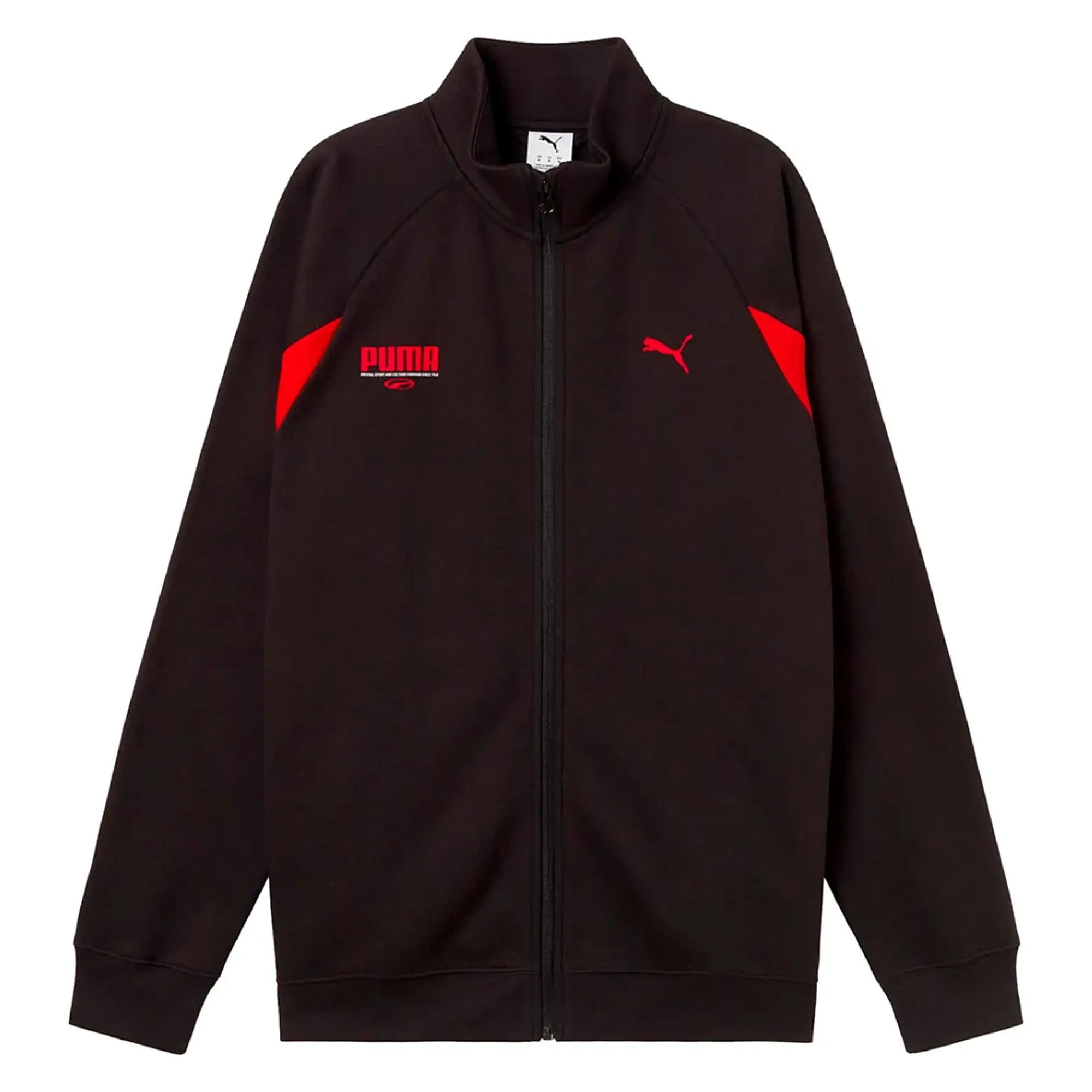 Puma Block Graphic Regular Full Zip Sweatshirt