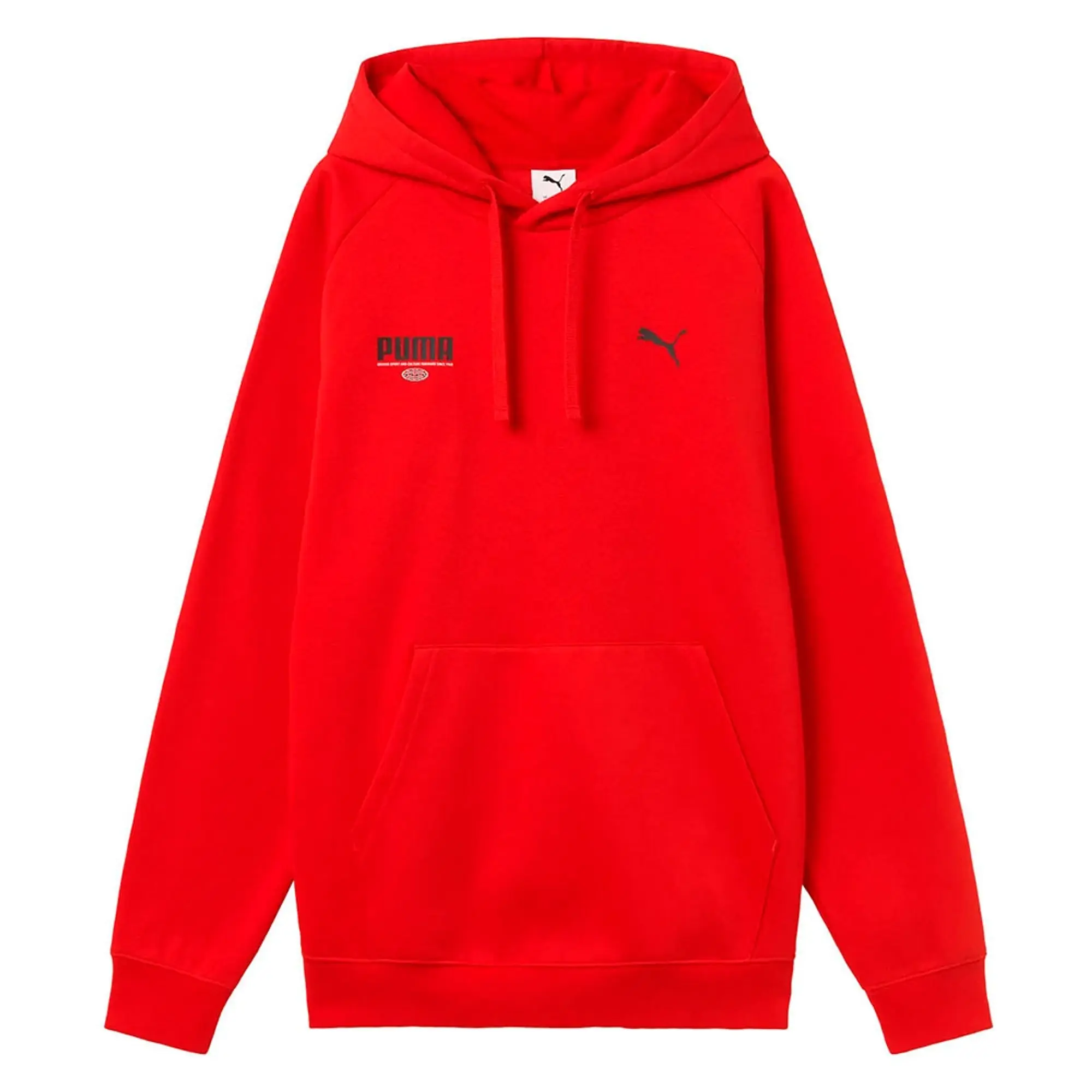 Puma Graphic Hoodie