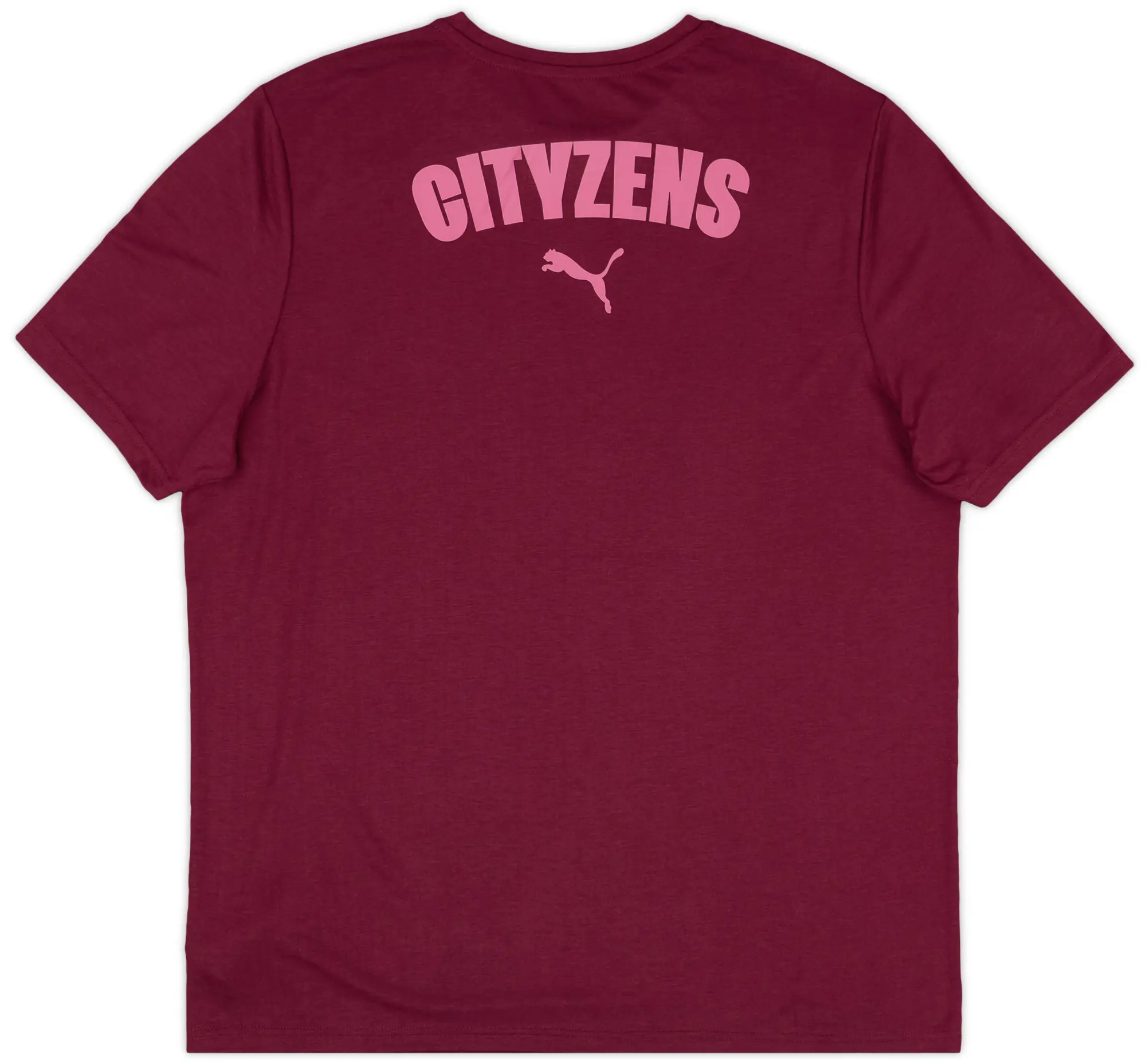 2024-25 Manchester City Puma Casual Tee (L)