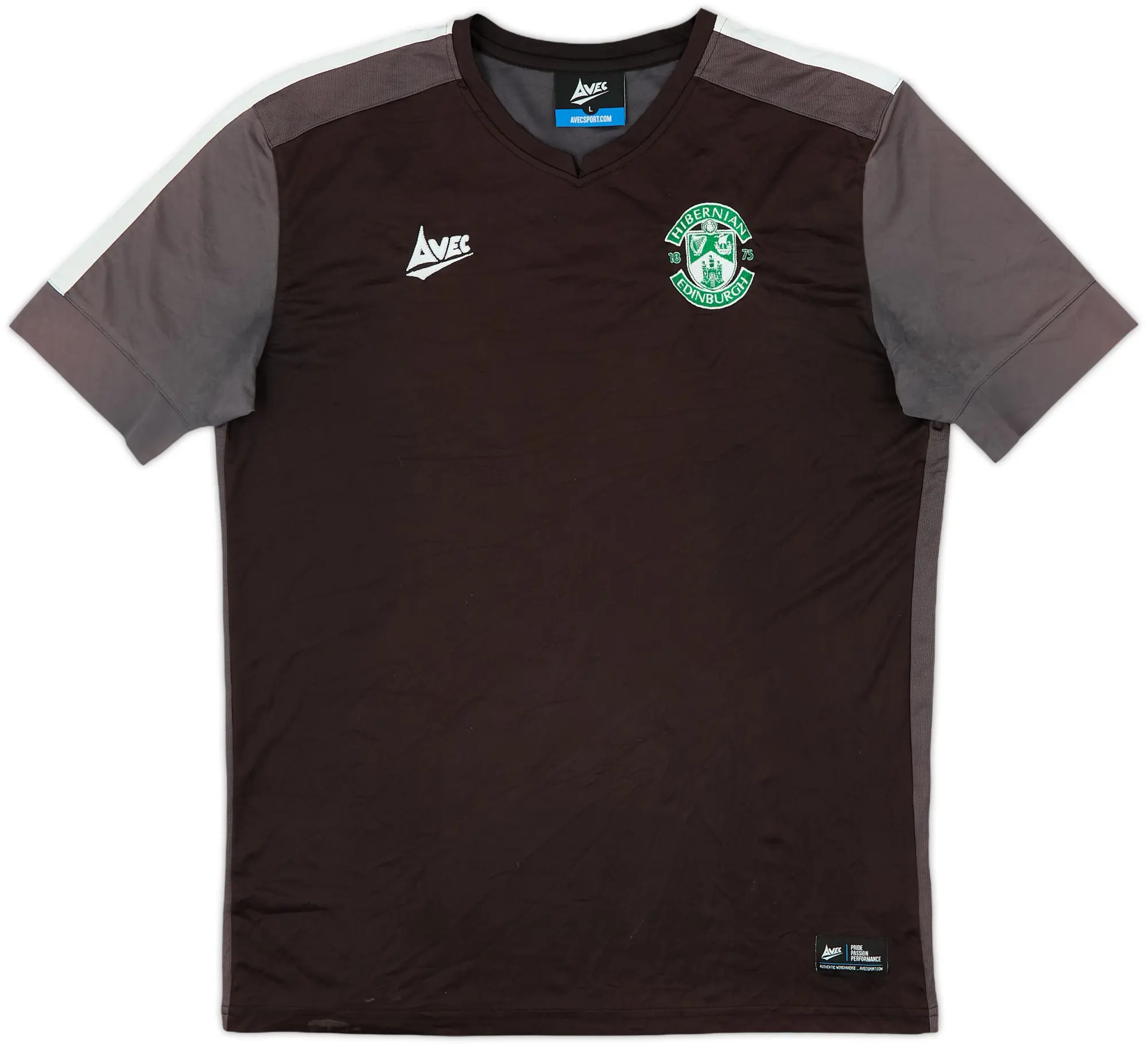 2015-16 Hibernian Avec Training Shirt - 6/10 - (L)