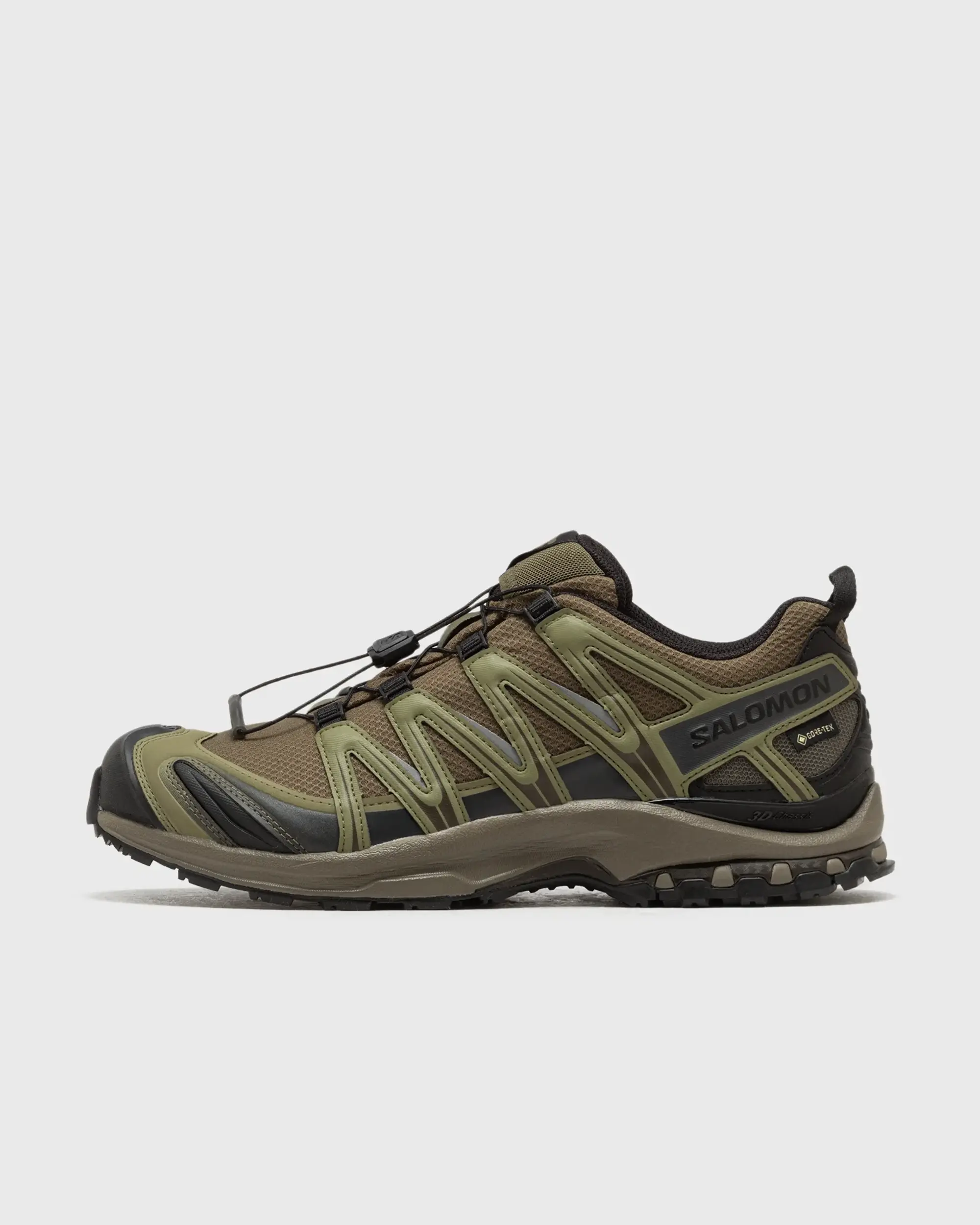 Salomon XA PRO 3D GTX