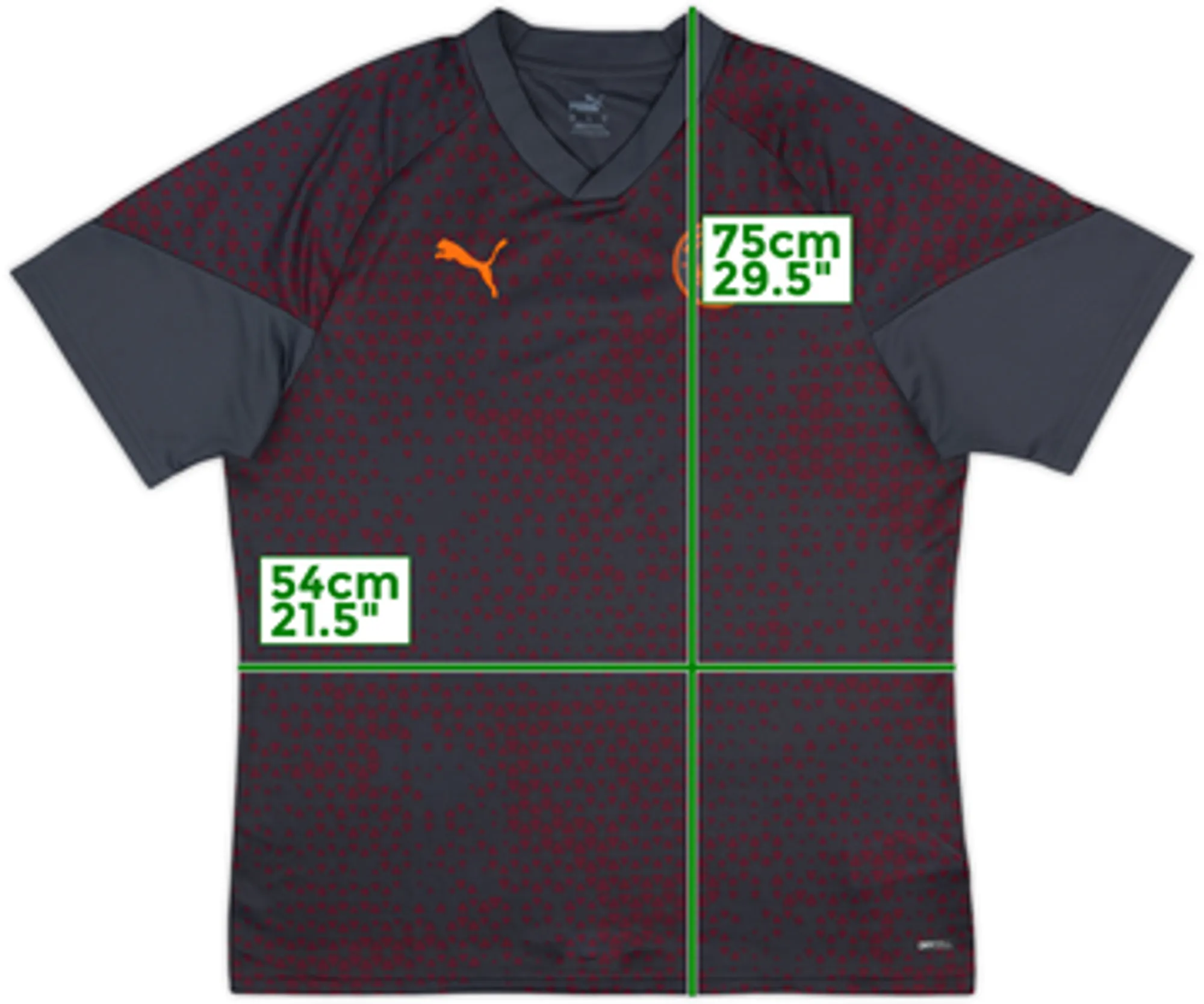 Puma Manchester City Mens SS Home Shirt 2023/24