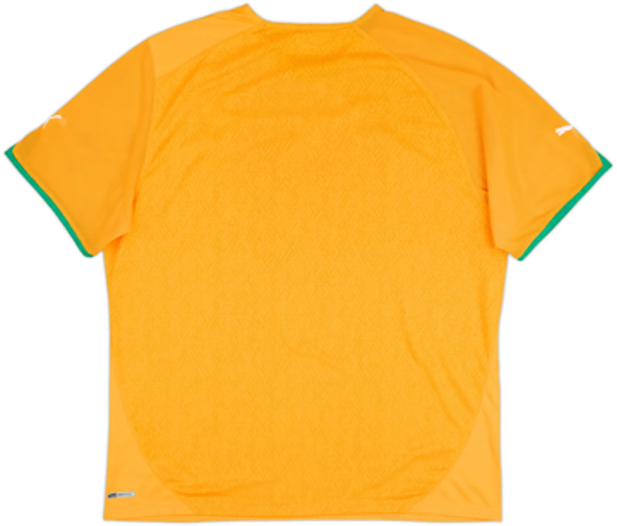Puma Ivory Coast Mens SS Home Shirt 2010