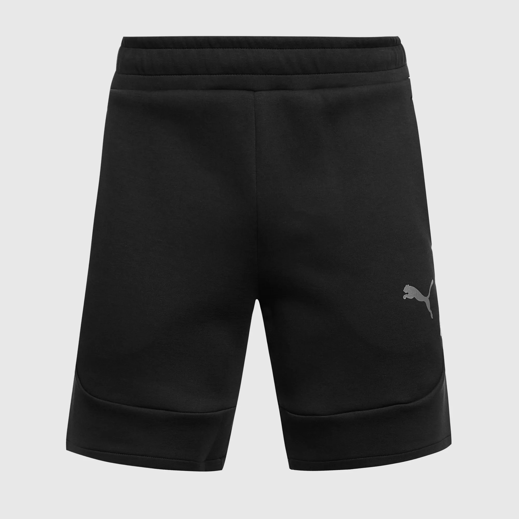 Puma Junior teamEVOSTRIPE 25 Shorts