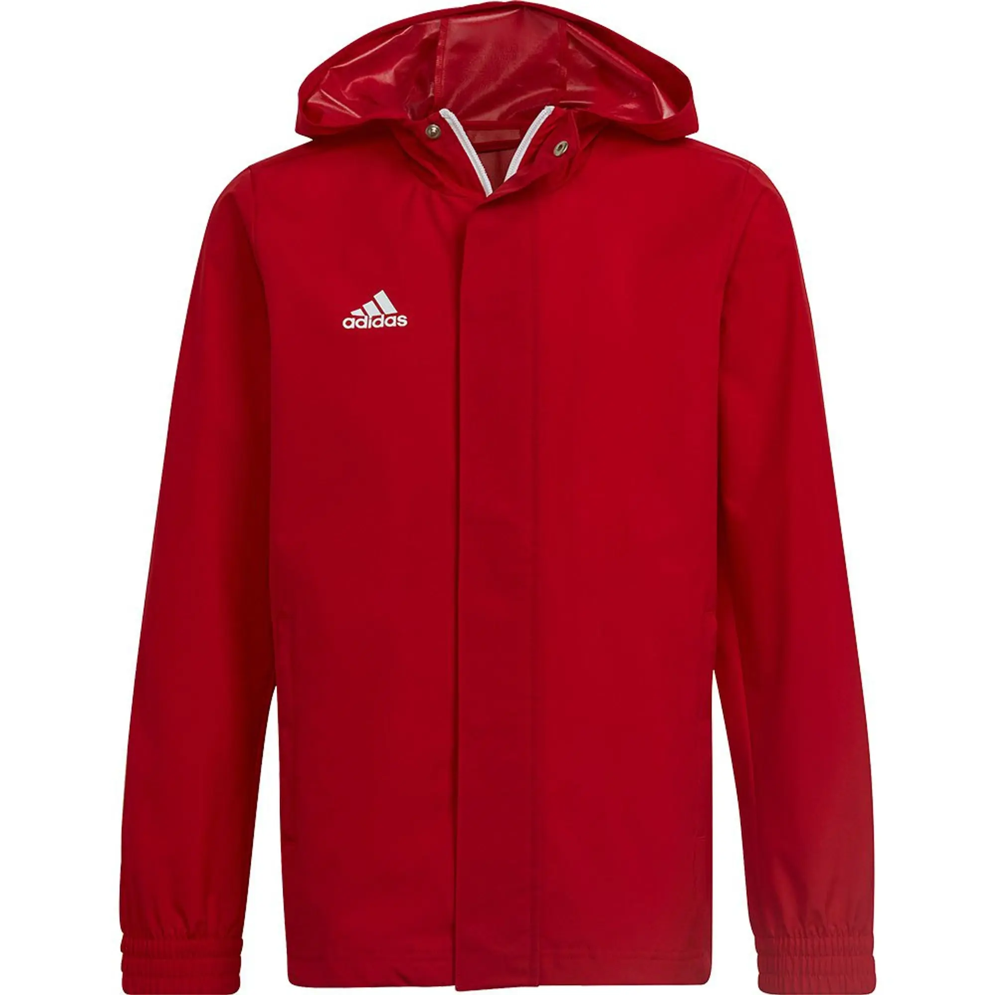 Adidas Entrada 22 Aw Jacket