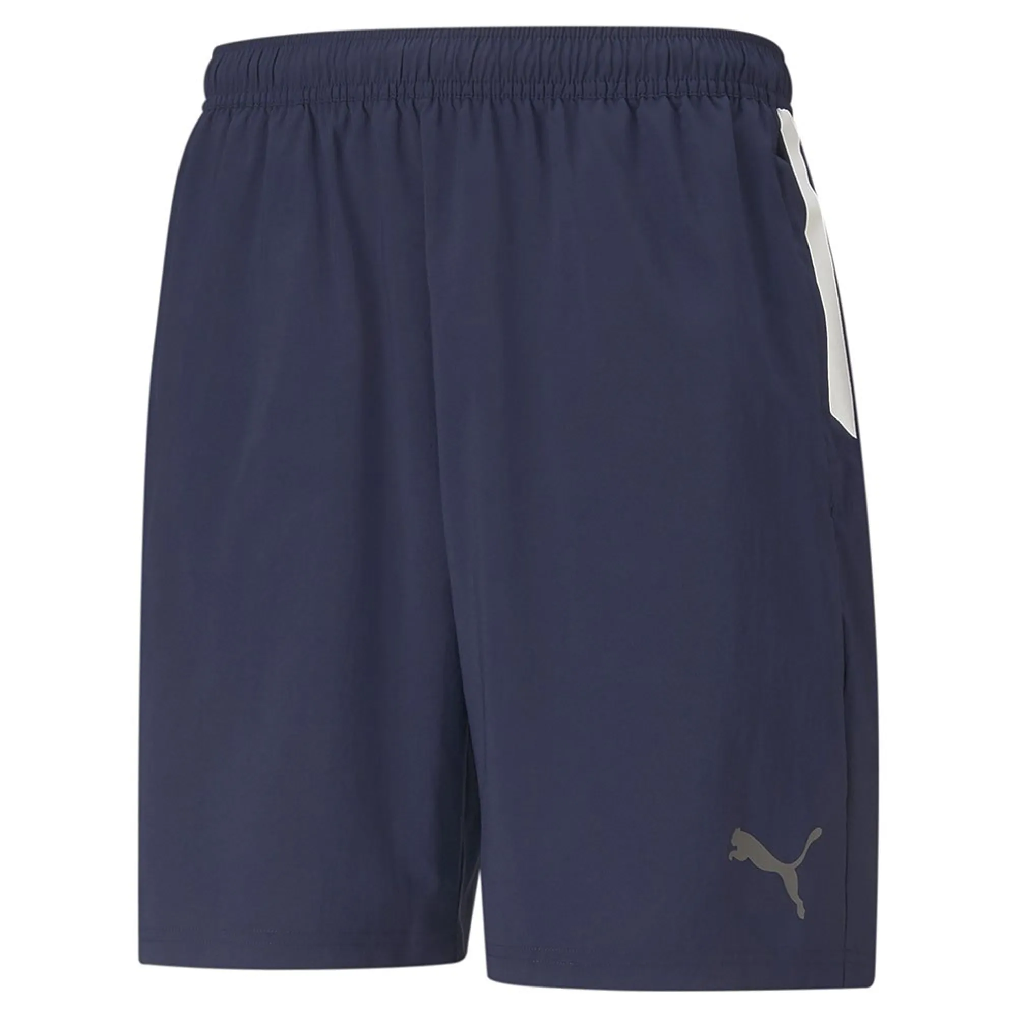 Puma Teamliga Sideline Shorts