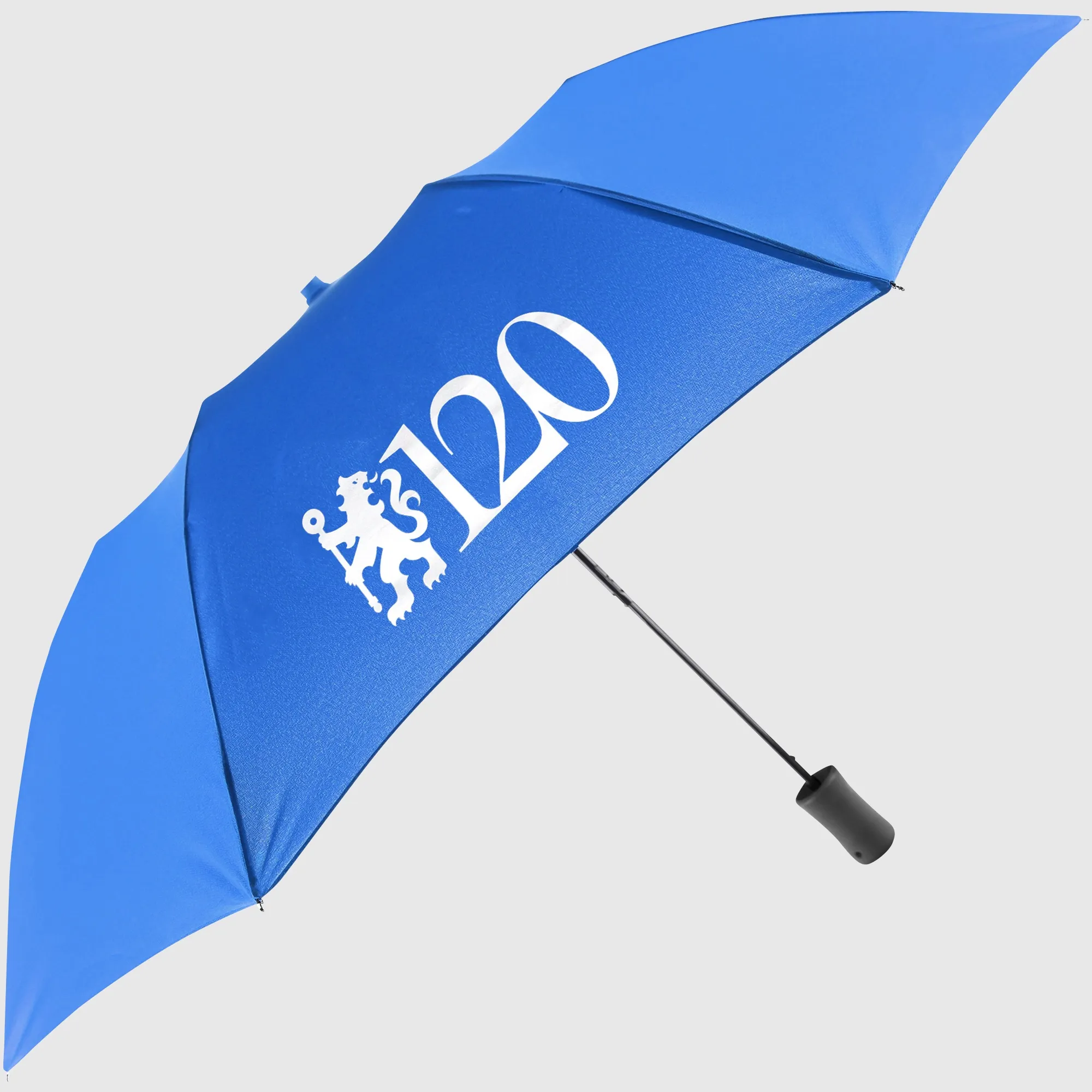 Chelsea 120 Year Umbrella