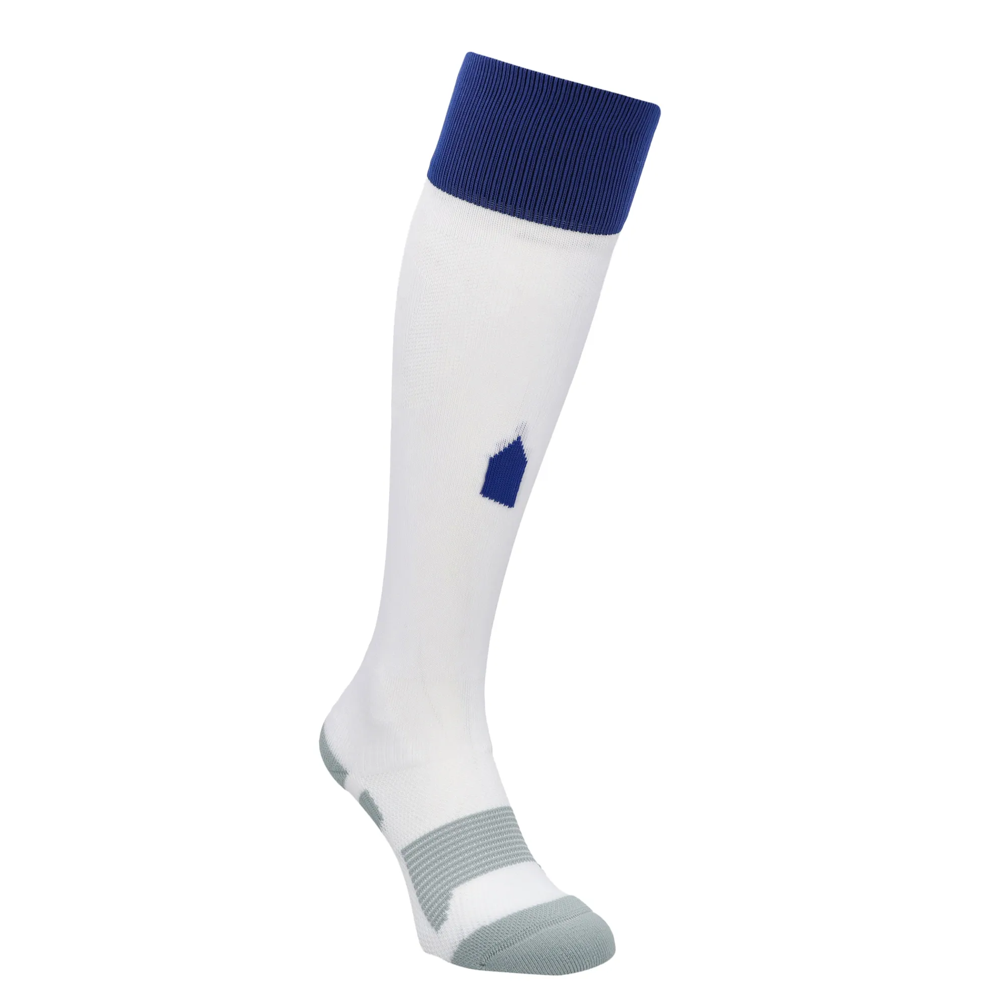 Everton Castore Home Alternate Socks 2025-26 - Kids