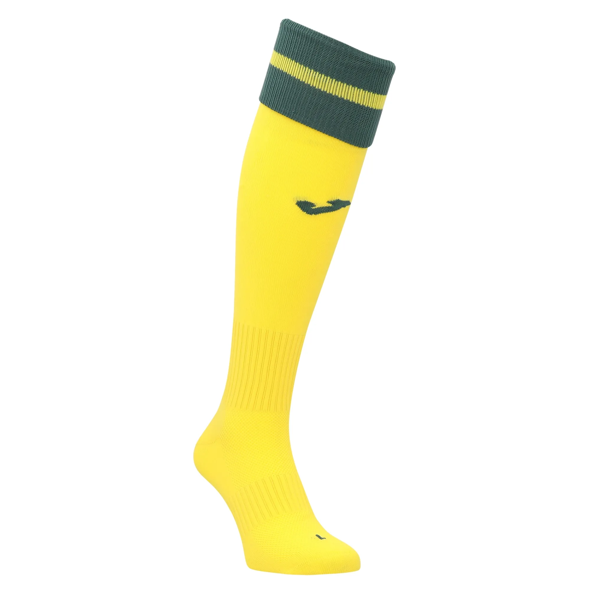 Hibernian Joma Away Socks 2025-26 - Kids