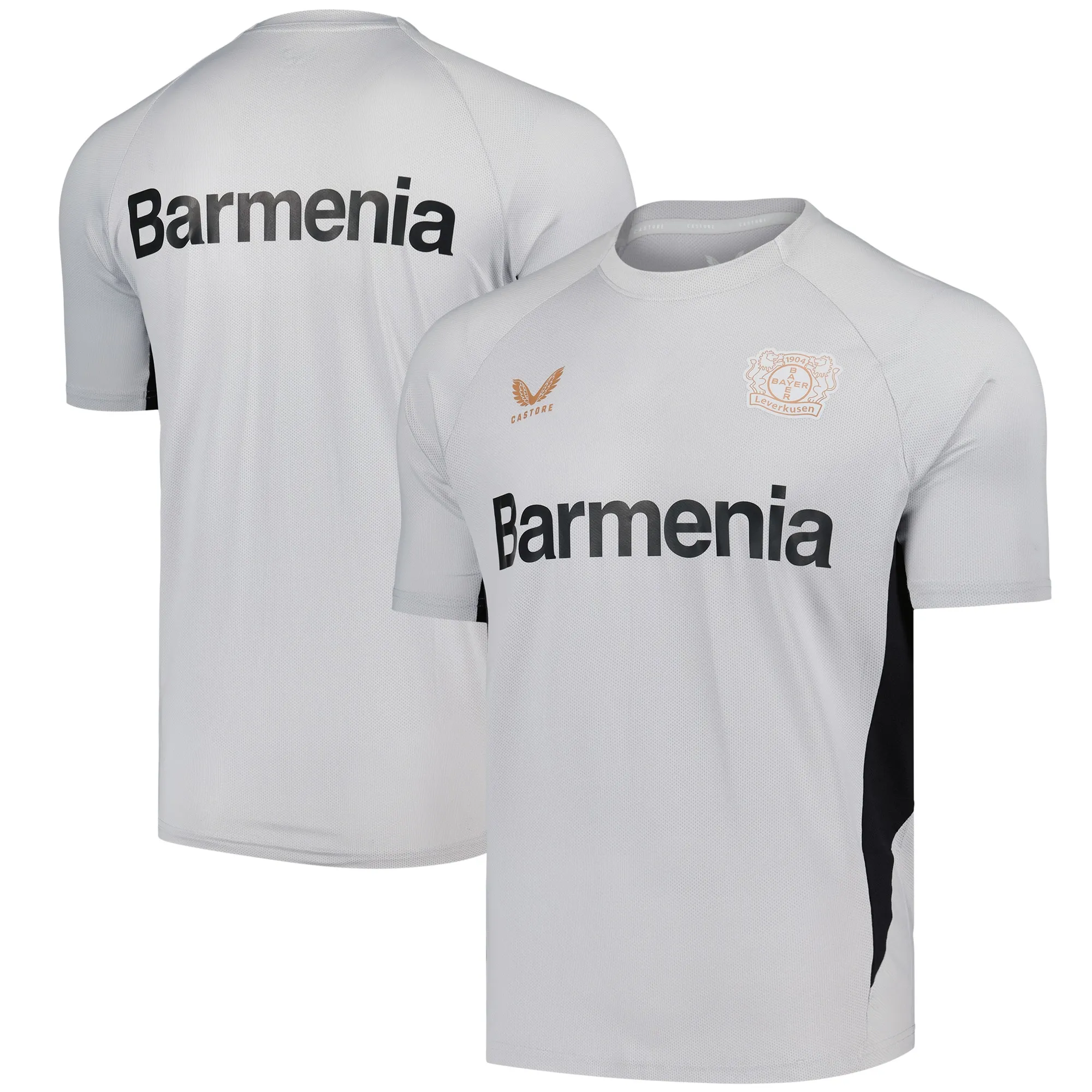 Bayer Leverkusen Castore Players Training T-Shirt - Grey