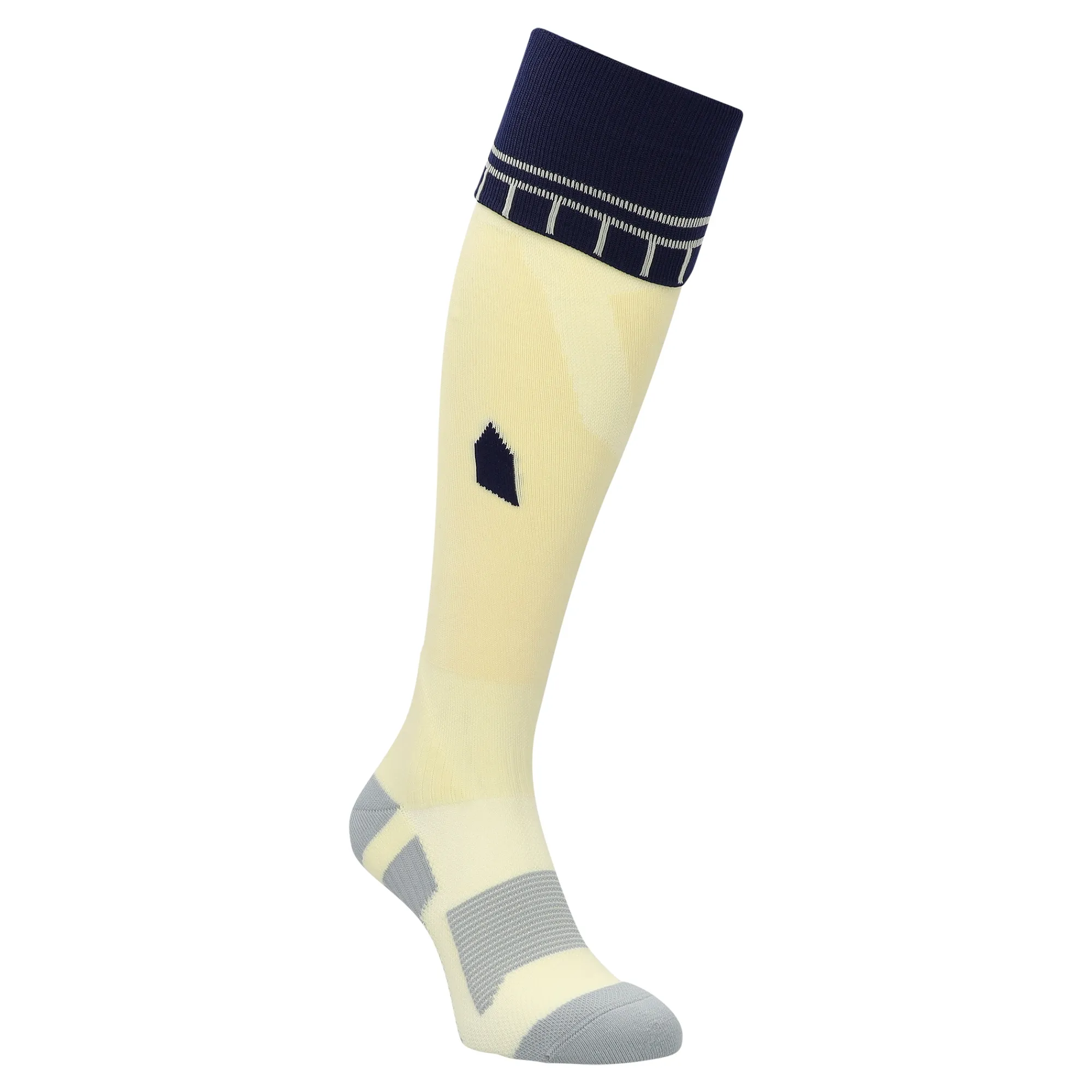 Everton Castore Away Socks 2025-26