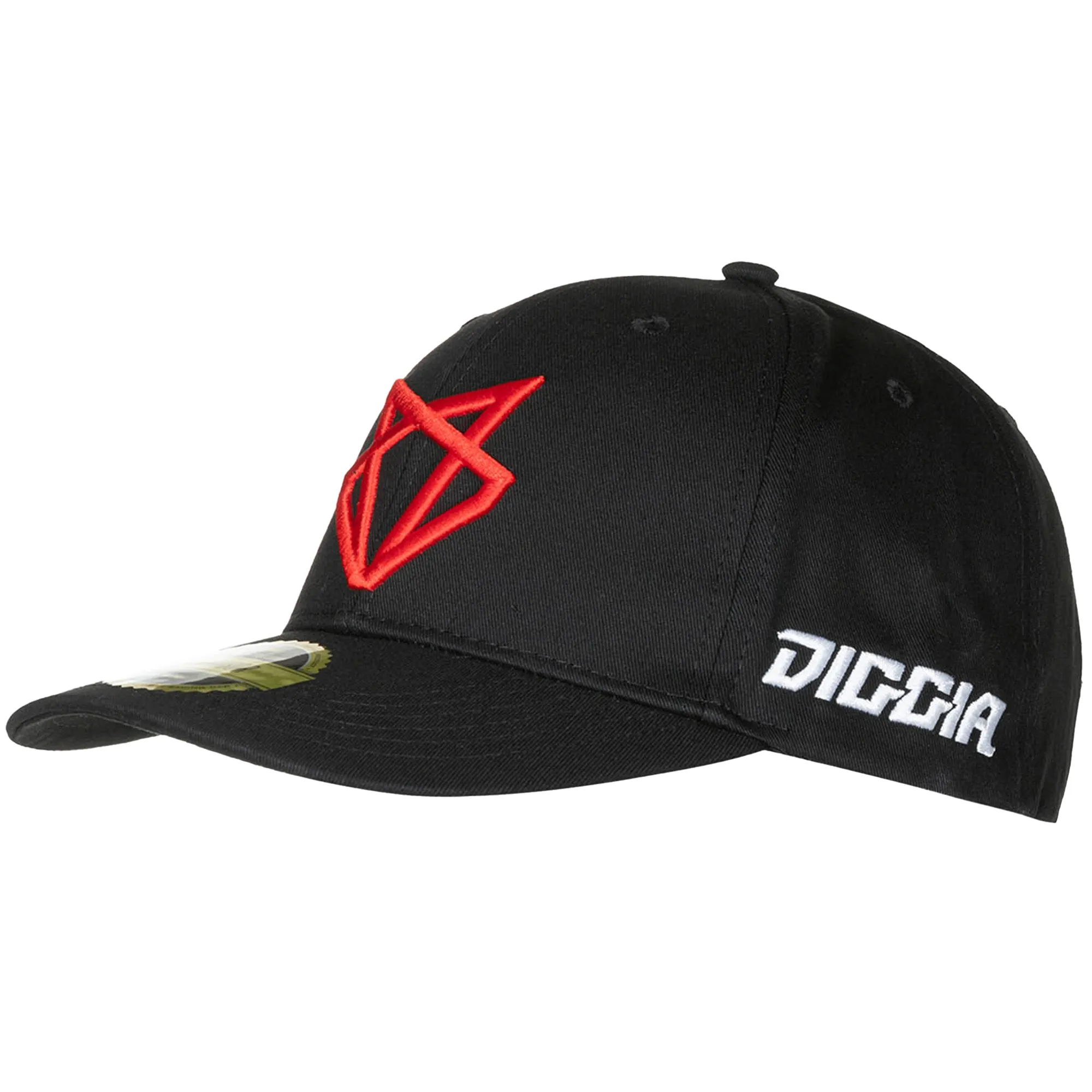 MotoGP Fabio Di Giannantonio Cap