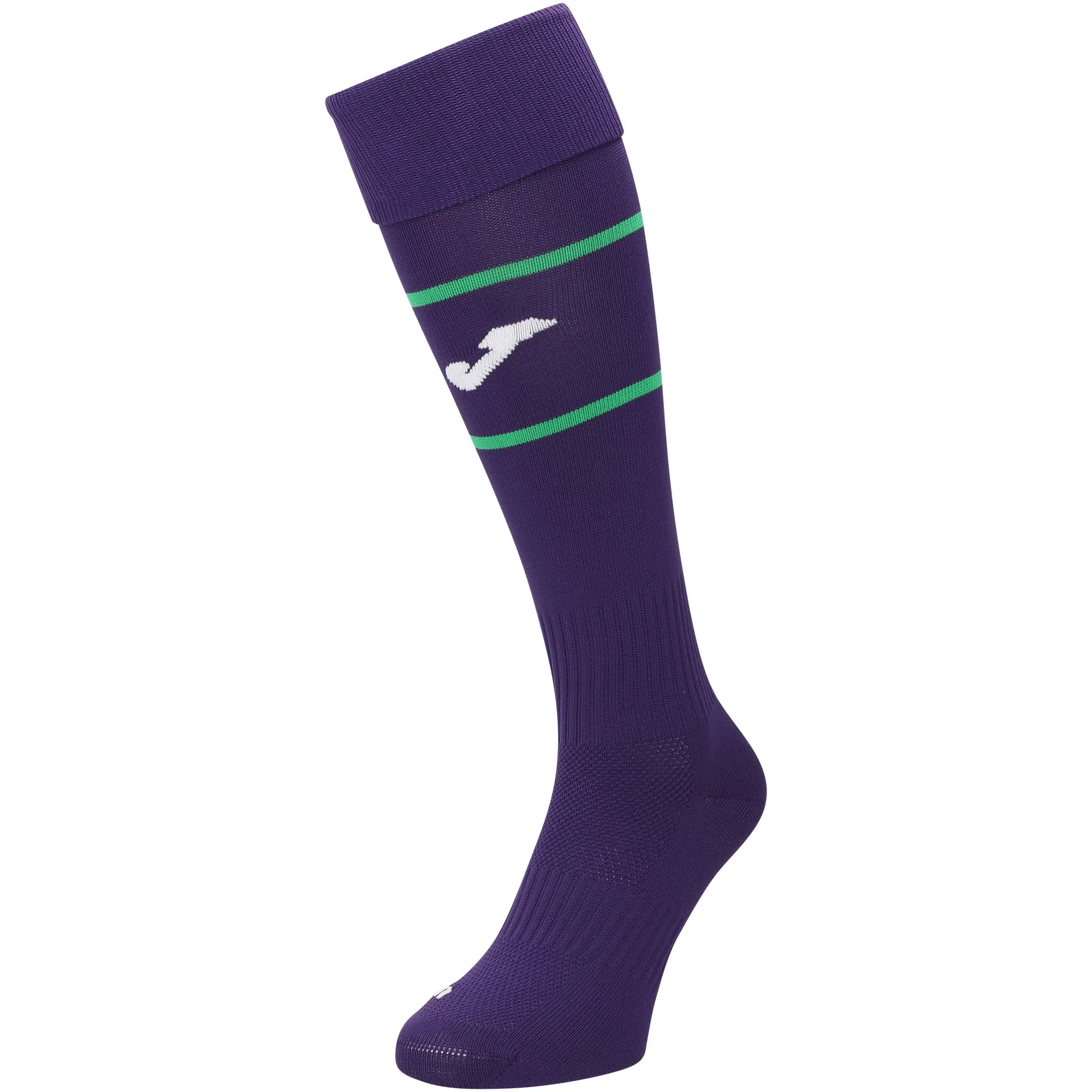Hibernian Joma Third Socks 2024-25