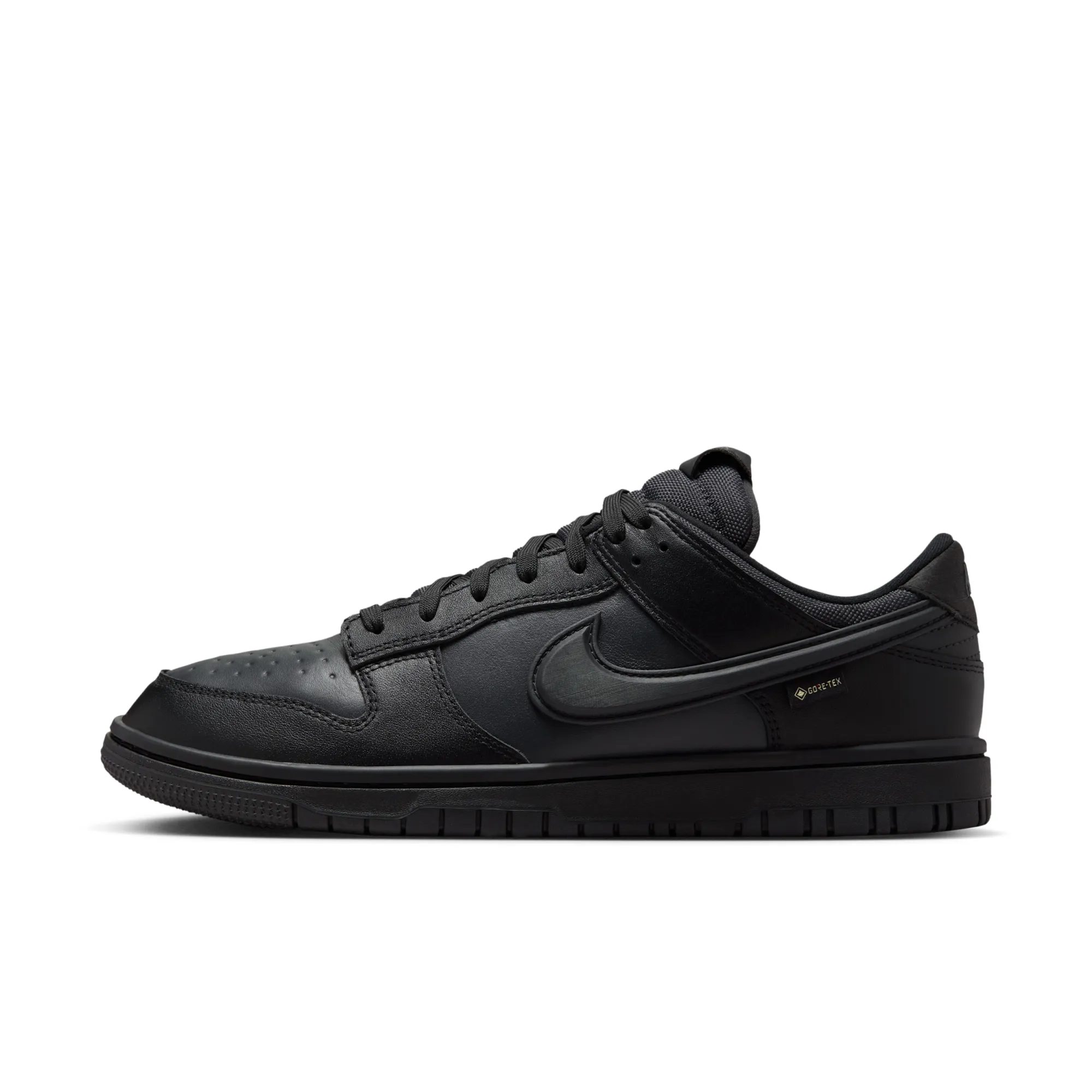 Nike Dunk Low GORE-TEX Men's Shoes - Black