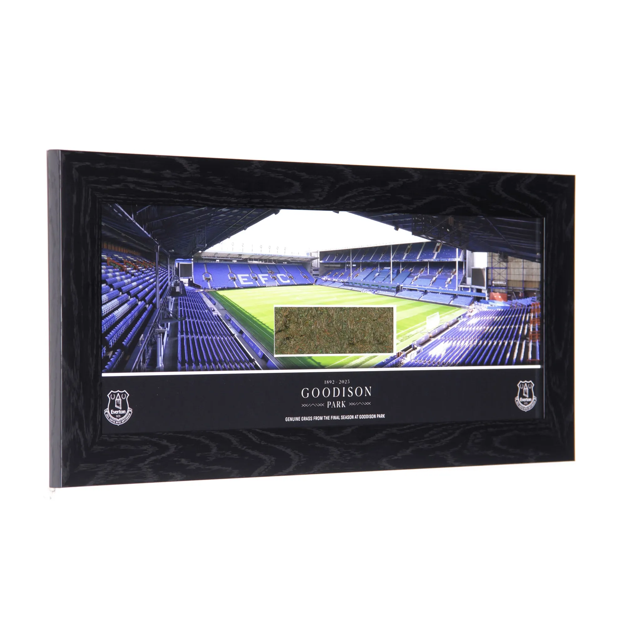 Everton Goodison Park Framed Grass - 20inch Panoramic